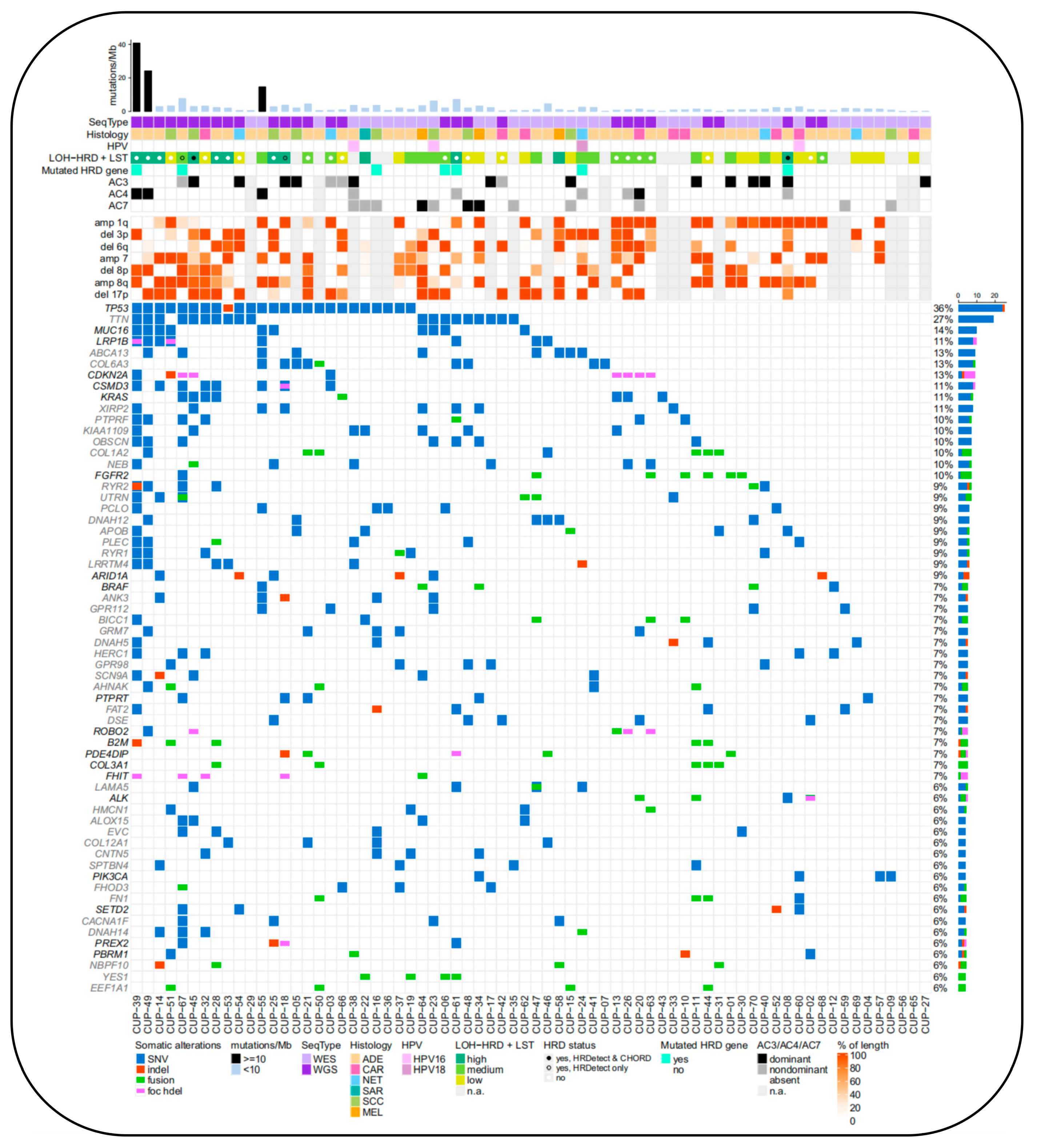 Biosensors 14 00100 g009