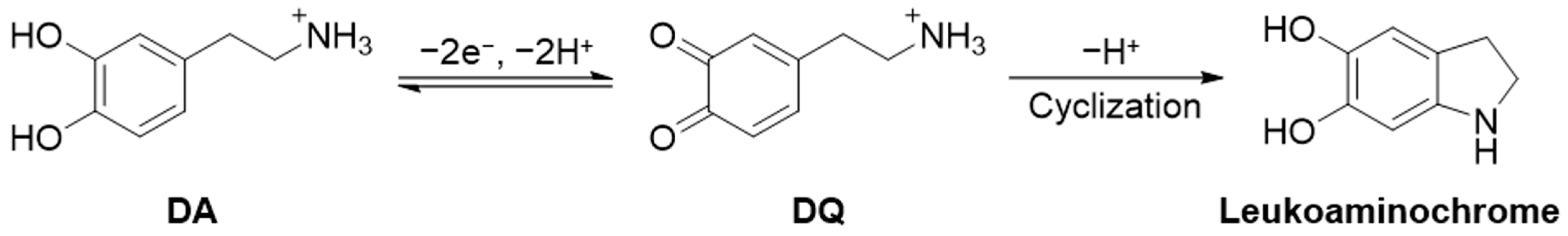 Biosensors 14 00102 sch001