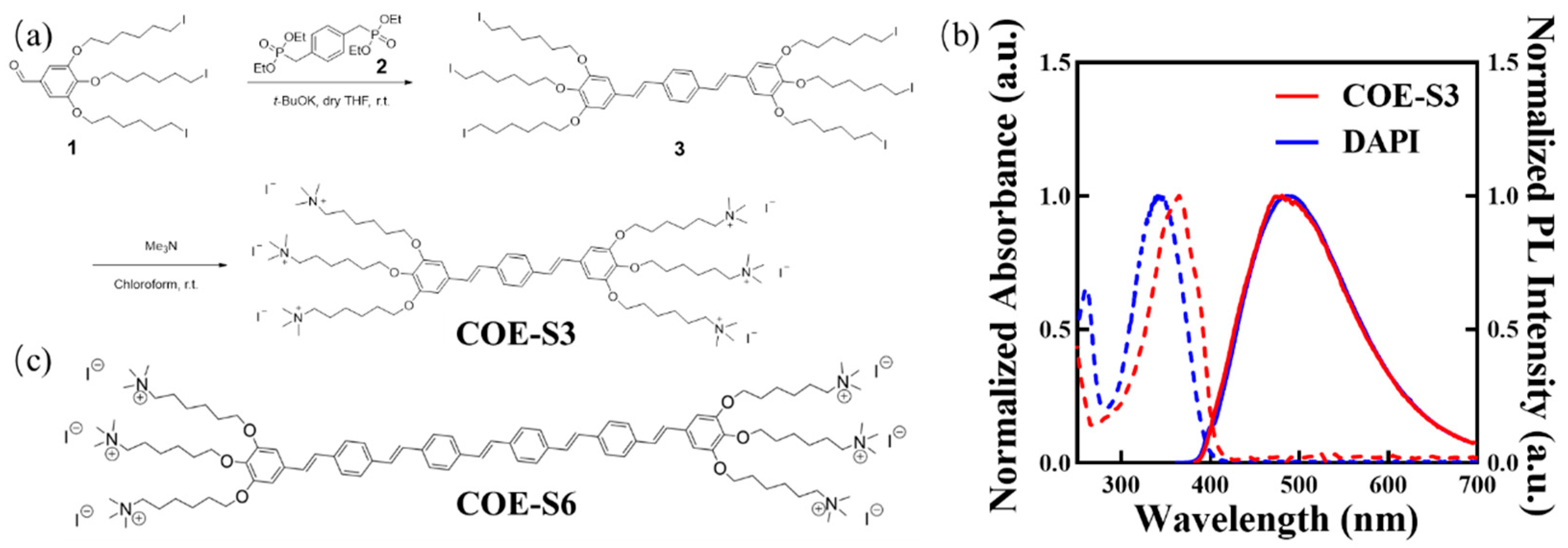 Conjugated Oligoelectrolyte with DNA Affinity for Enhanced