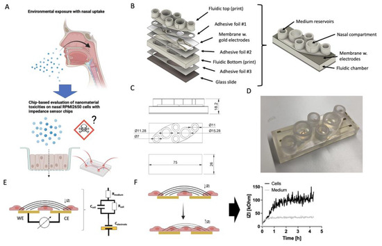 Biosensors 14 00107 g001