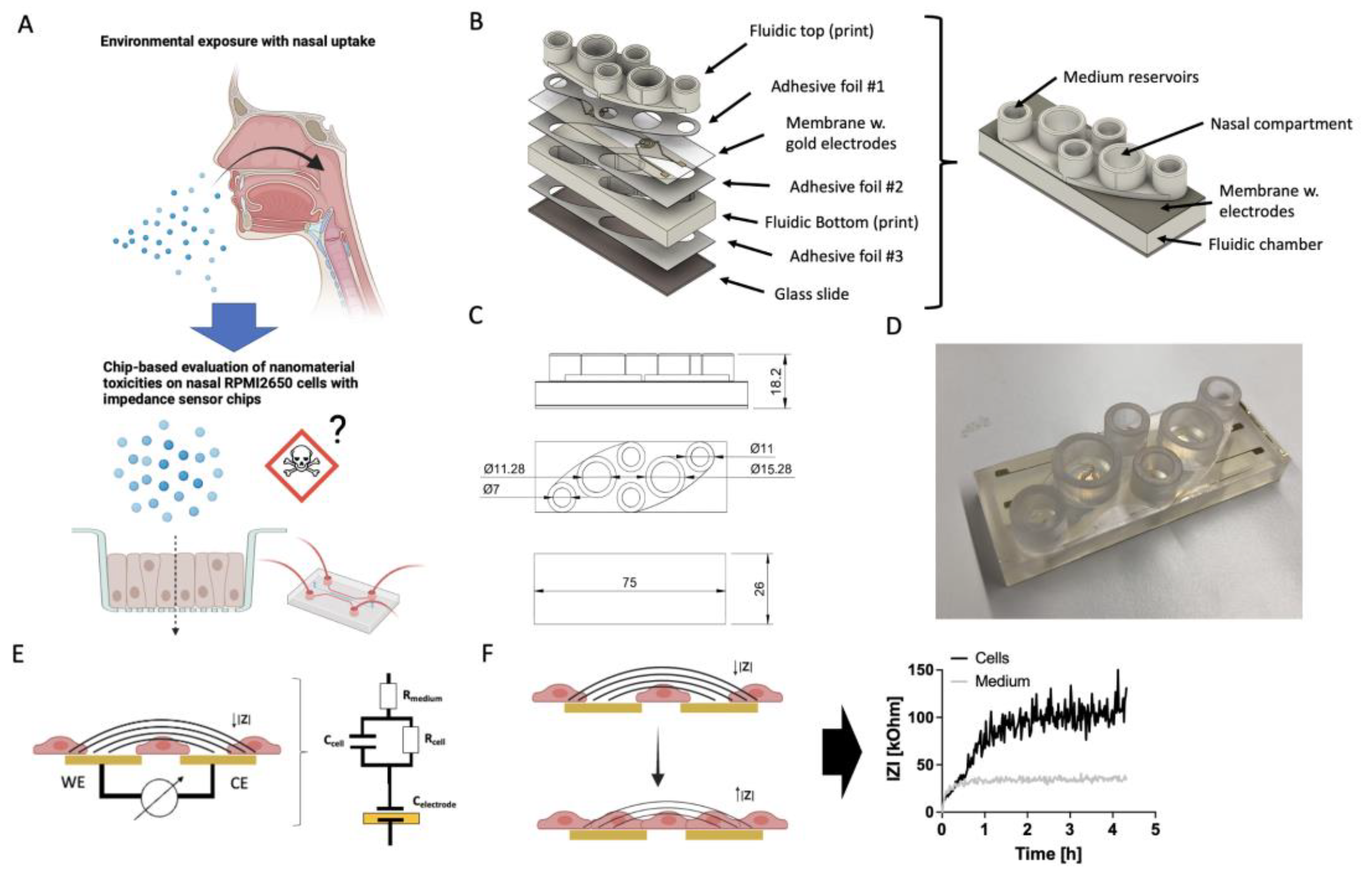 Biosensors 14 00107 g001