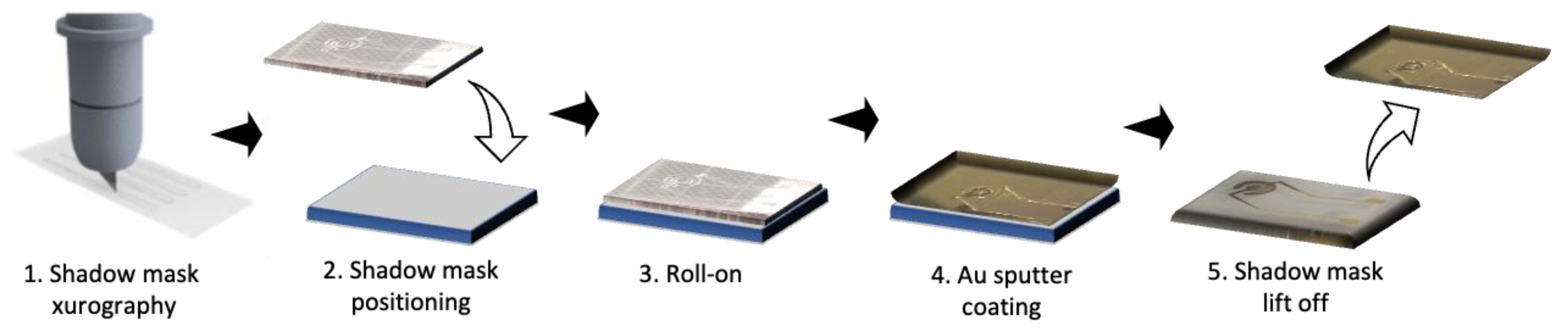 Biosensors 14 00107 g003