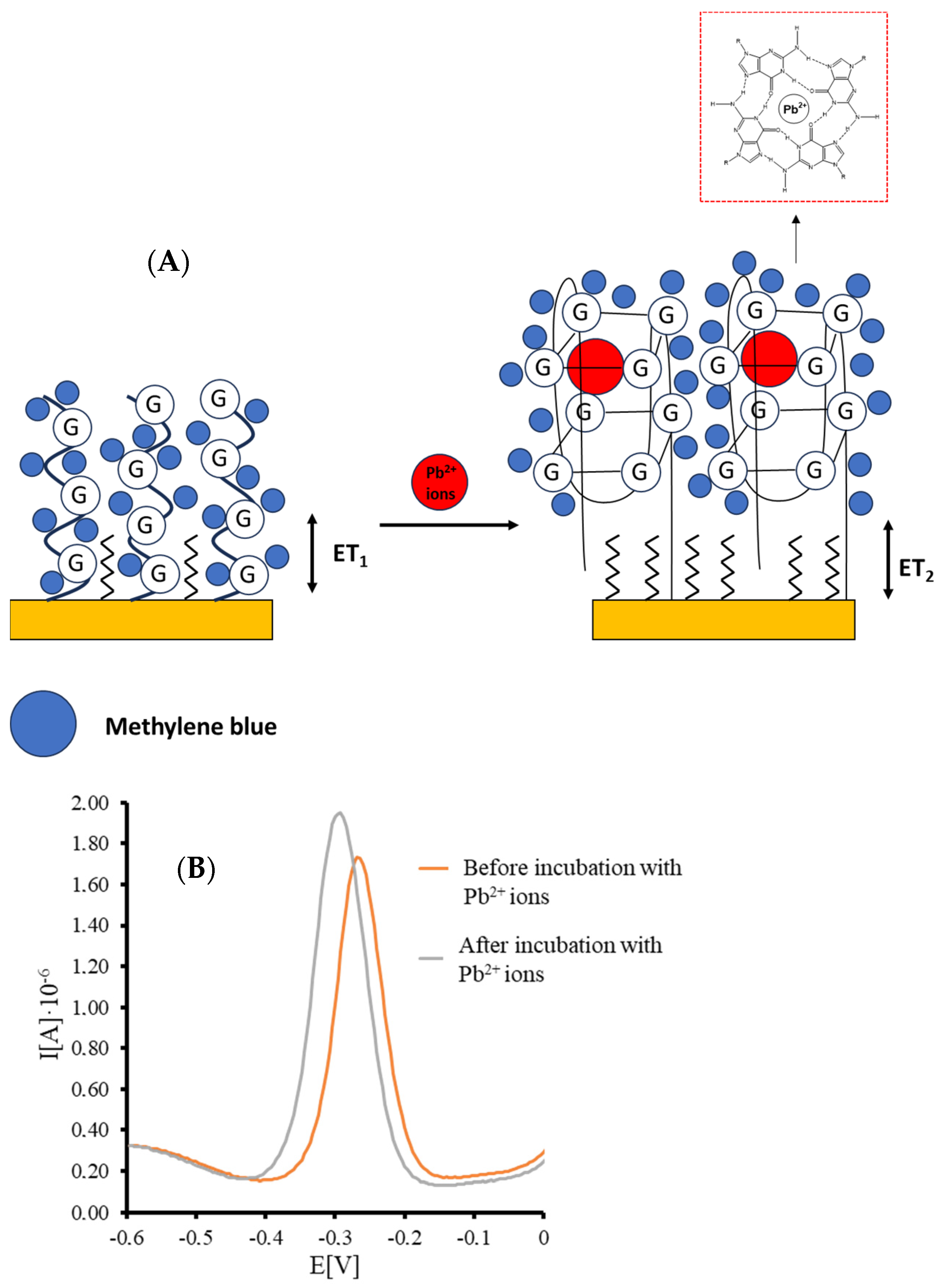 Biosensors 14 00110 sch001
