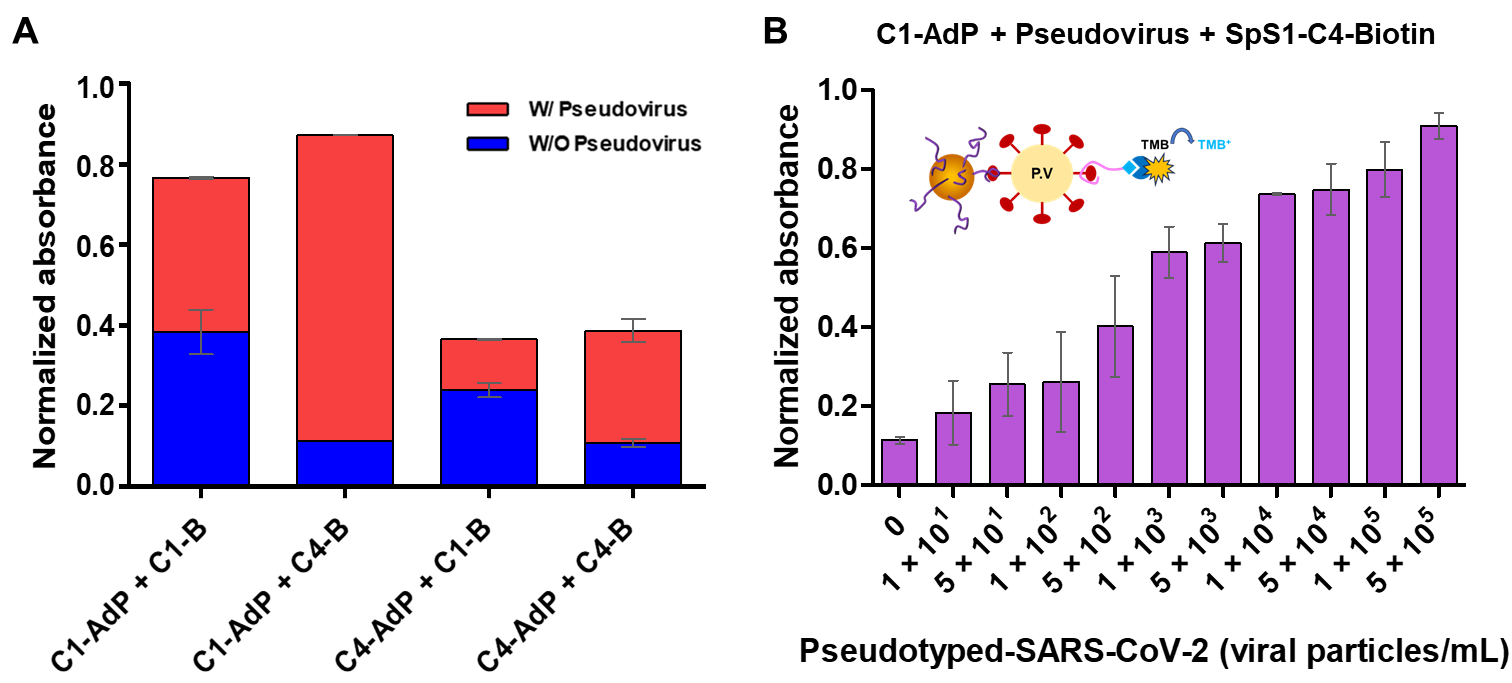 Biosensors 14 00113 g005