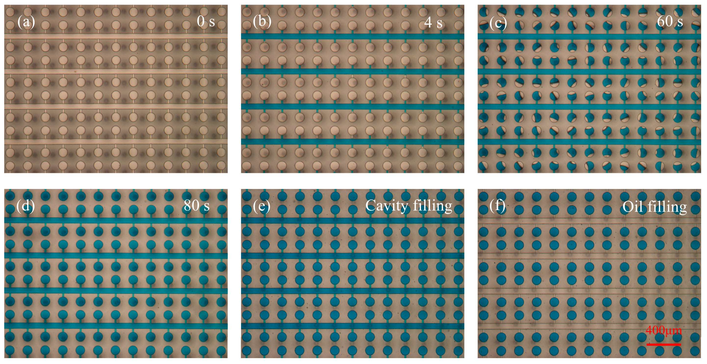Biosensors 14 00114 g004