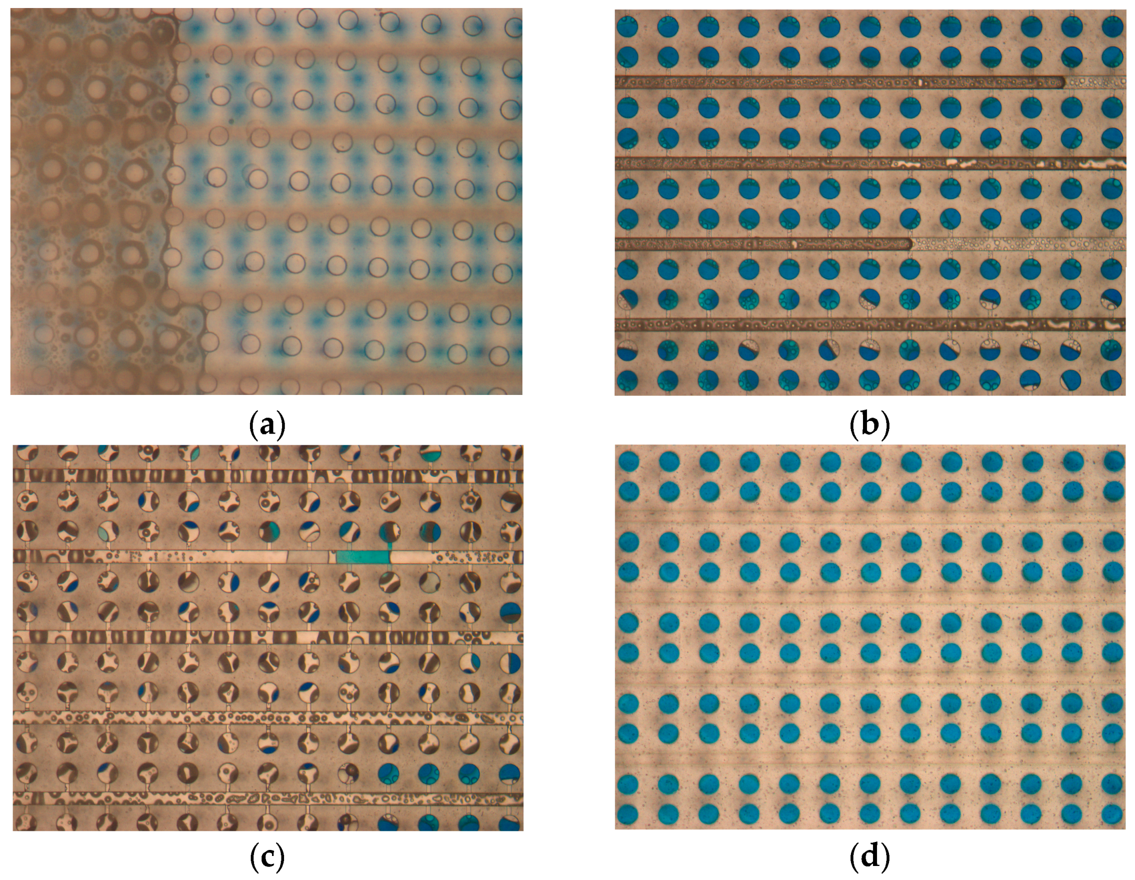 Biosensors 14 00114 g005