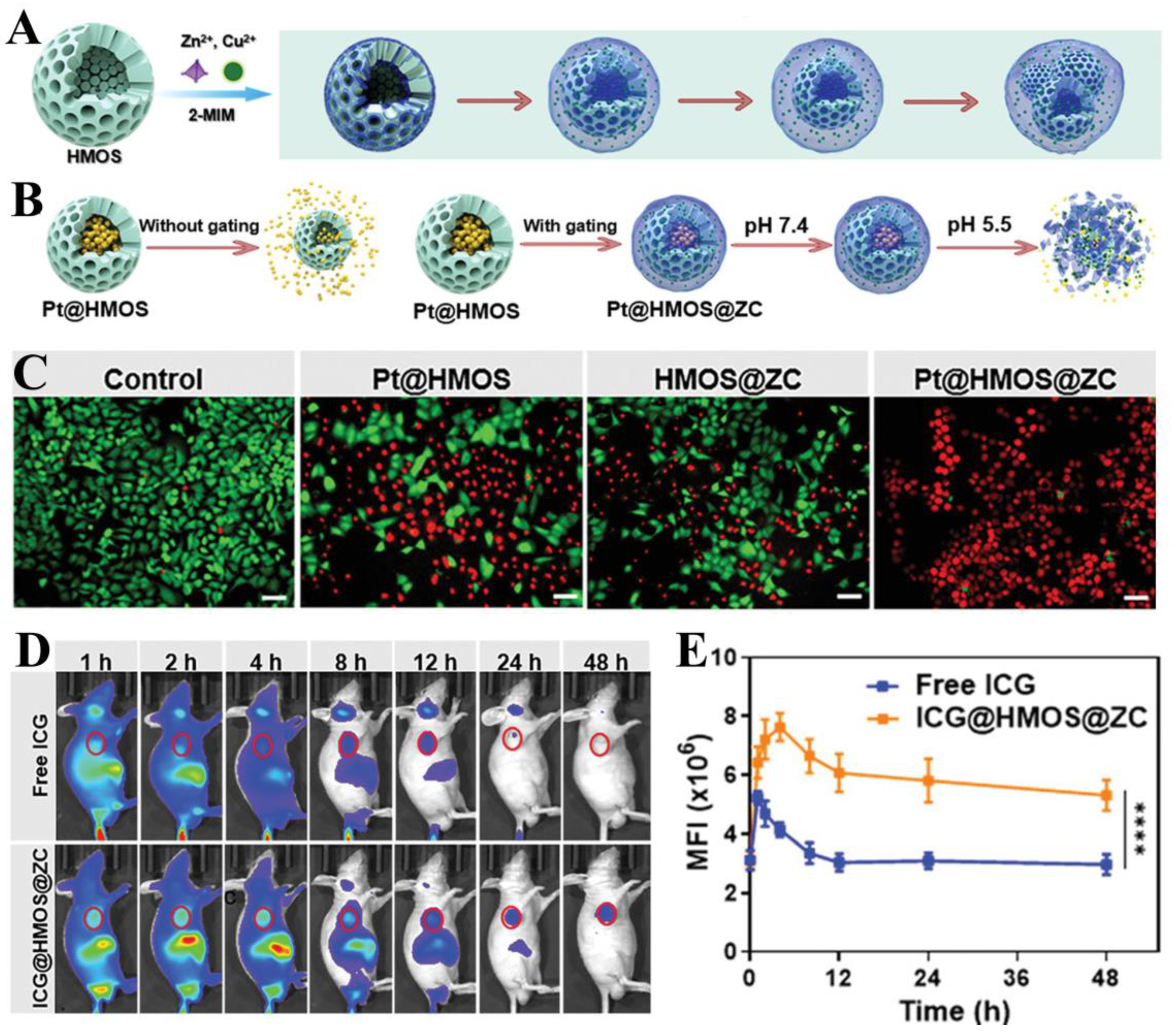 Biosensors 14 00117 g007