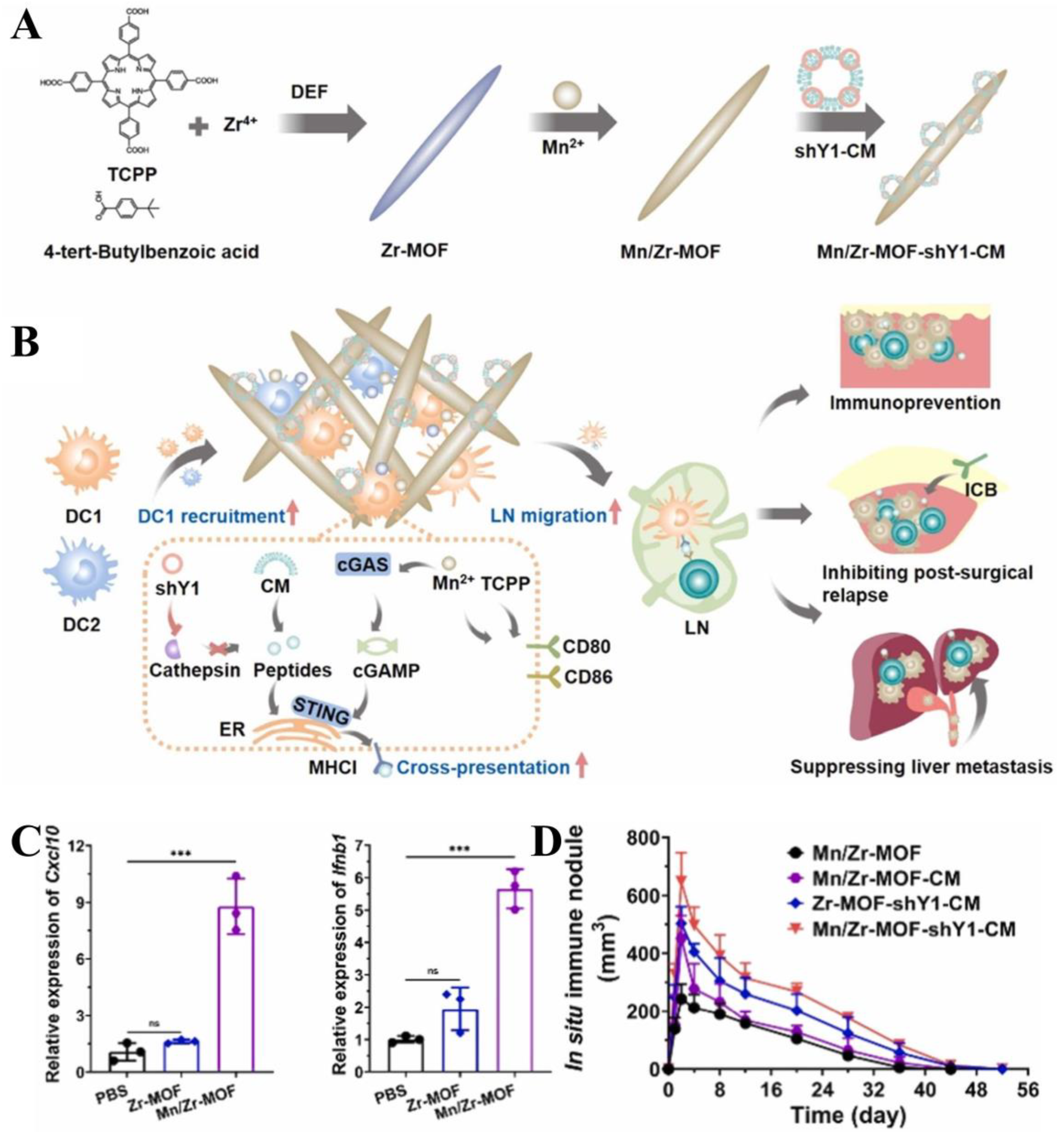 Biosensors 14 00117 g008