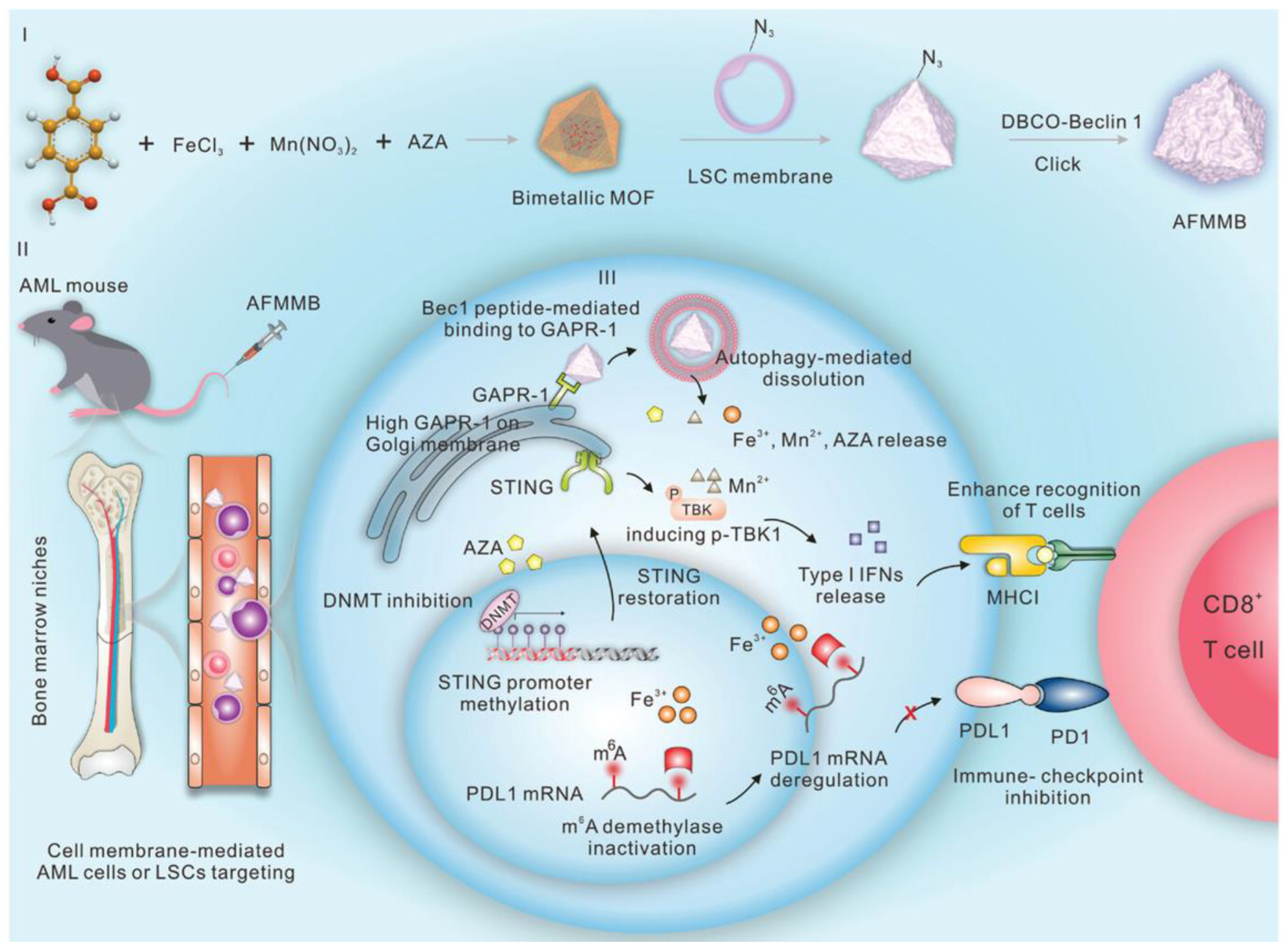Biosensors 14 00117 g011