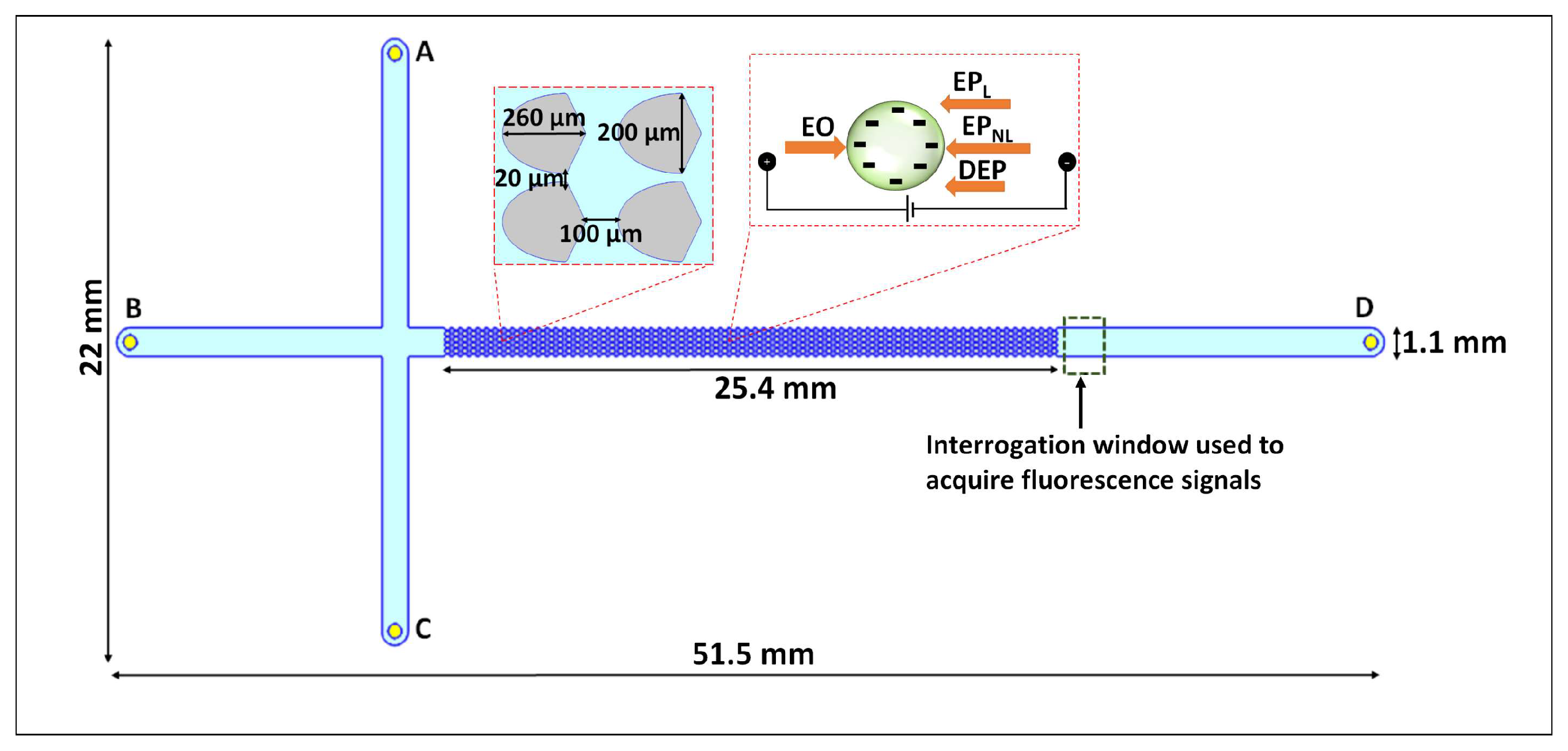 Biosensors 14 00119 g001