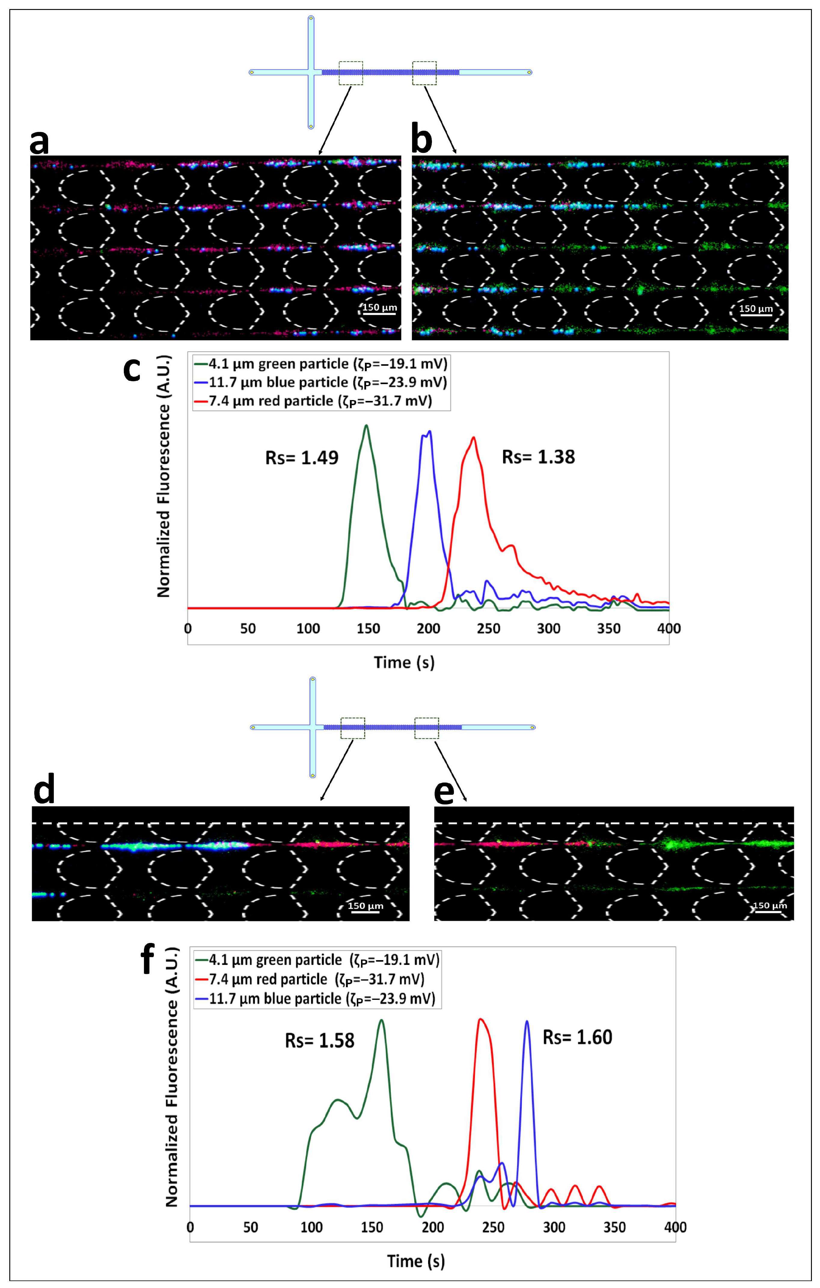 Biosensors 14 00119 g003