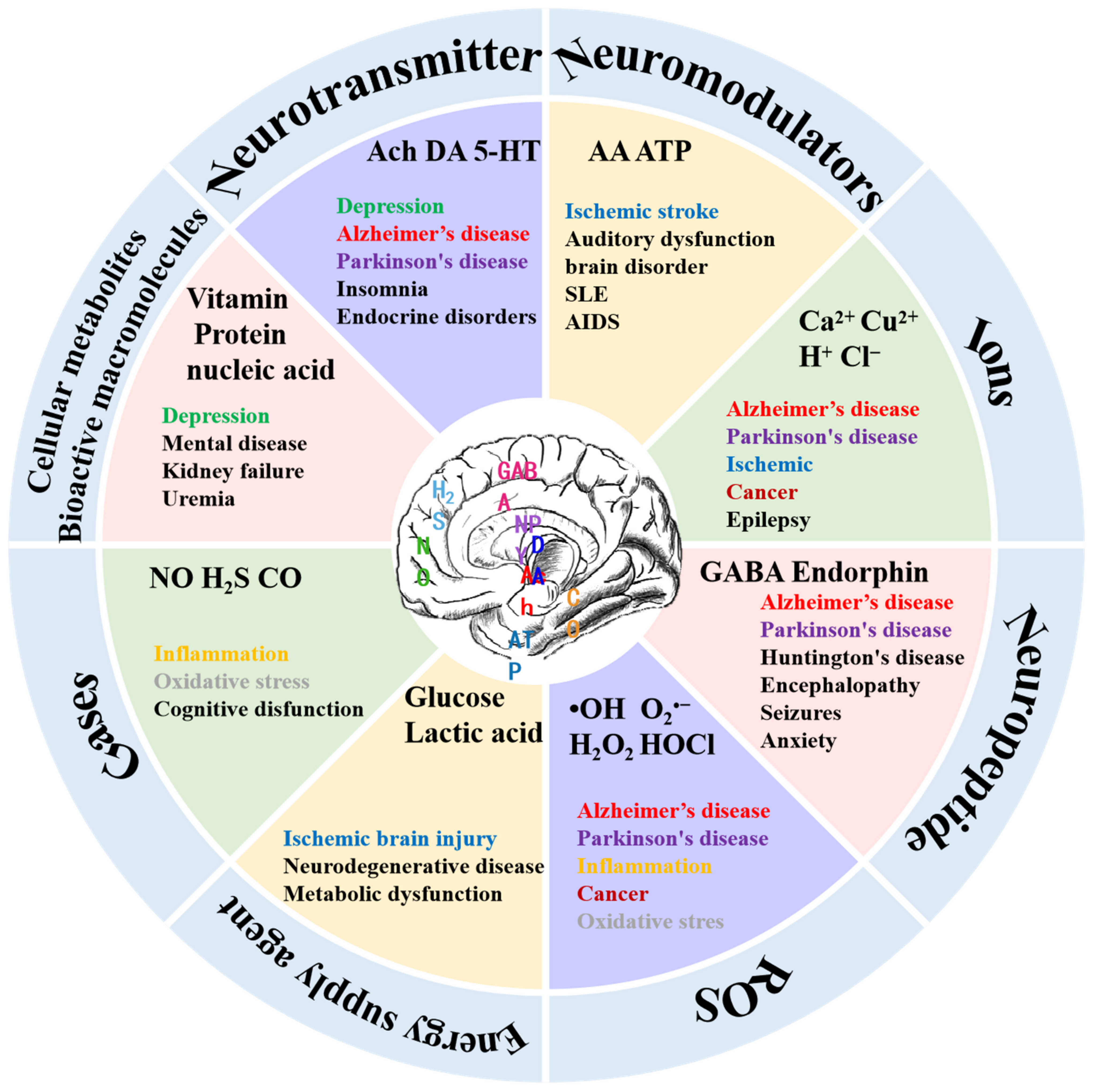 Biosensors 14 00125 g001 Biosensors 14 00125 g001