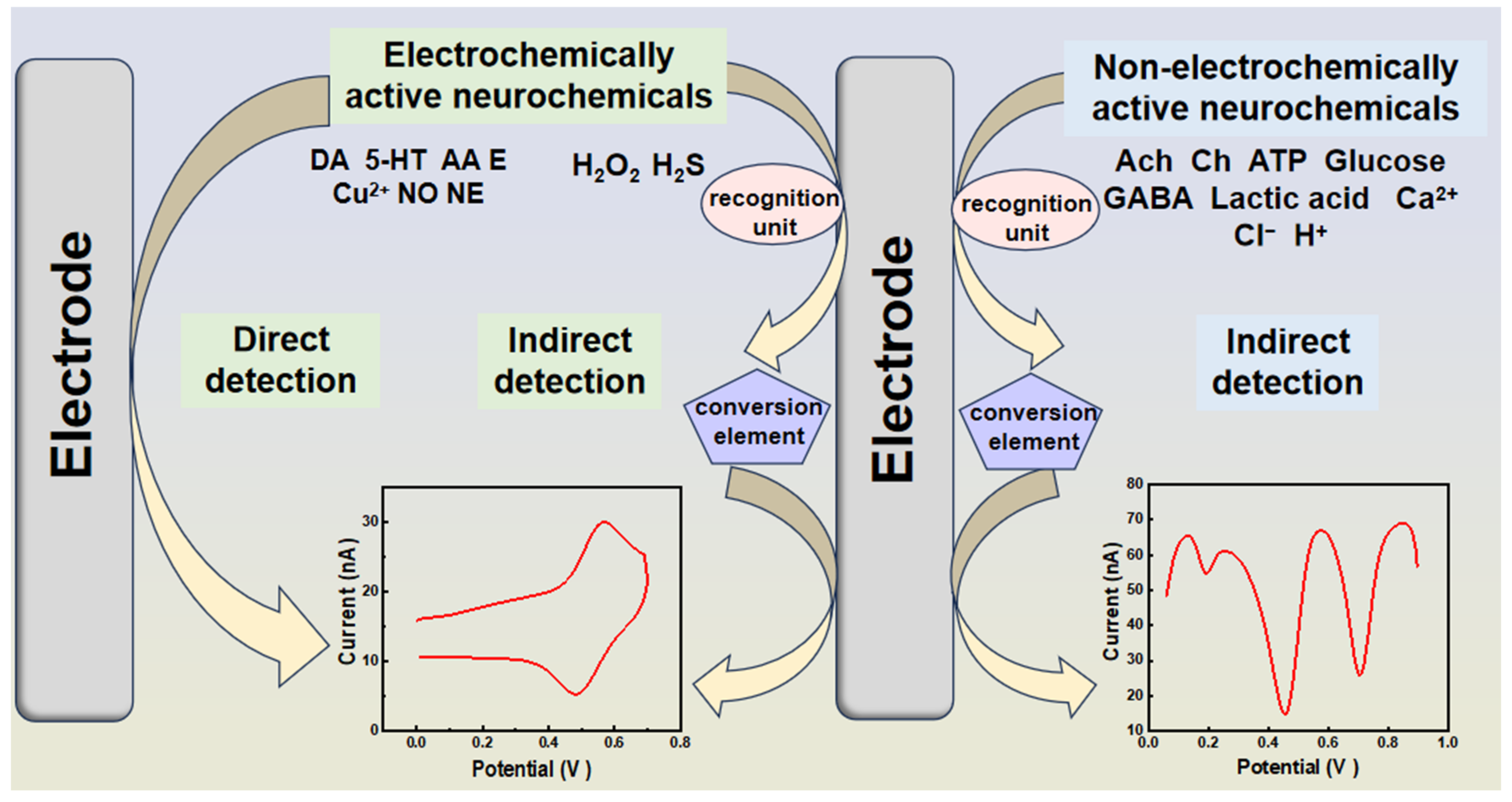 Biosensors 14 00125 g002 Biosensors 14 00125 g002
