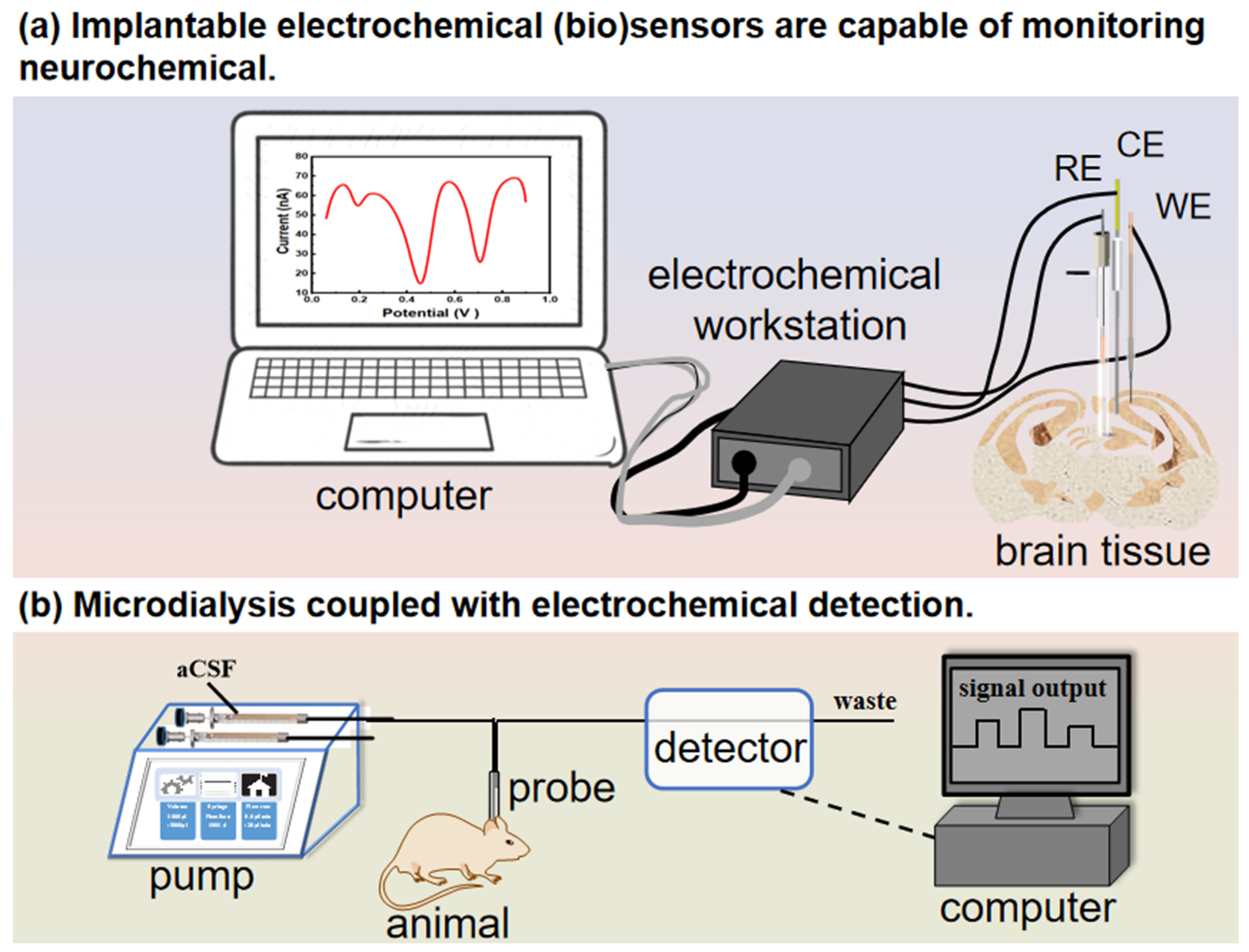 Biosensors 14 00125 g003 Biosensors 14 00125 g003