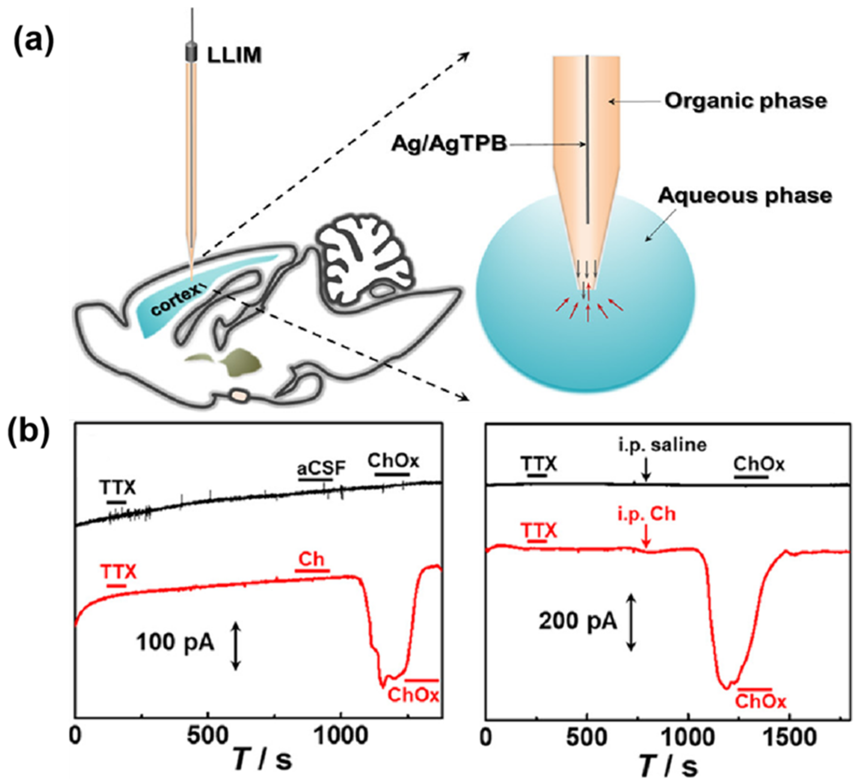 Biosensors 14 00125 g008 Biosensors 14 00125 g008