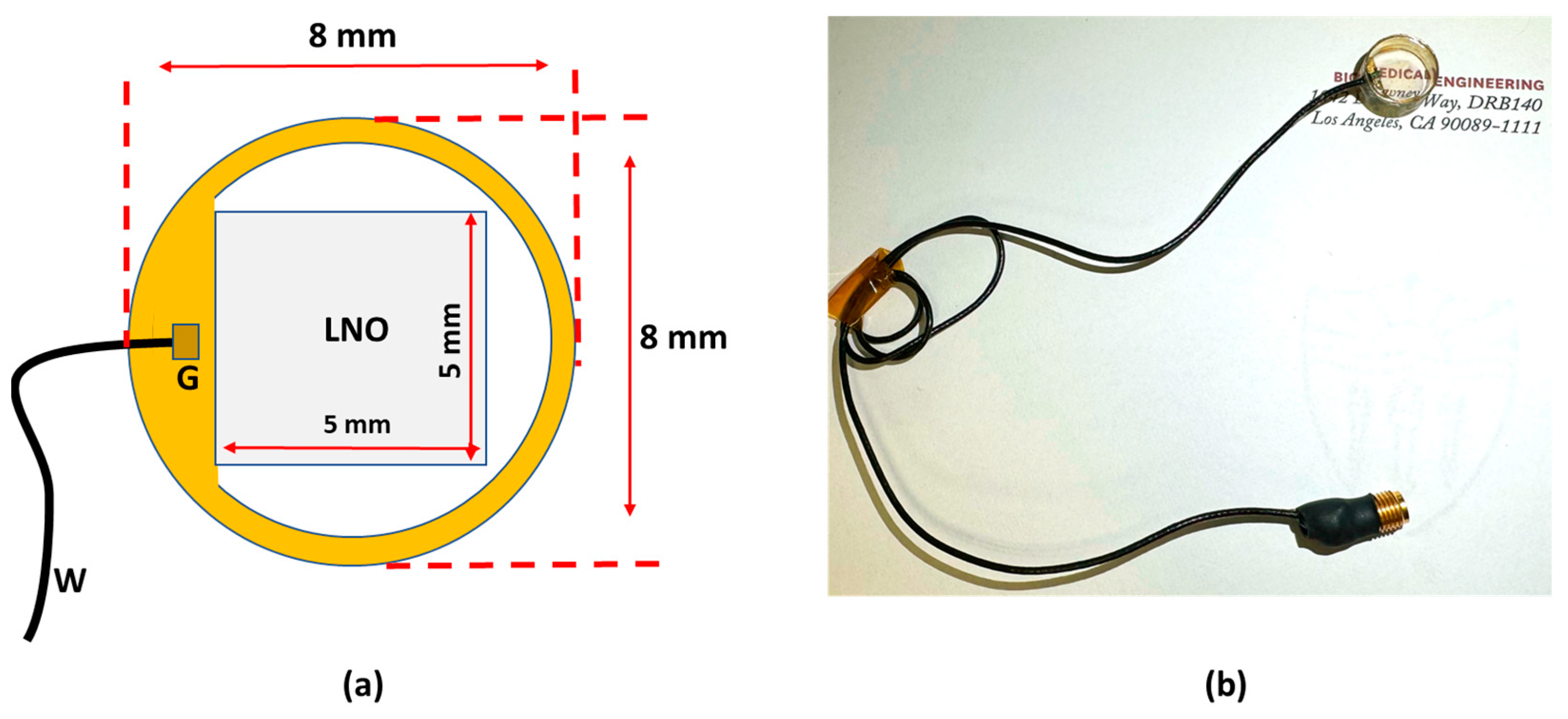 Biosensors 14 00127 g001