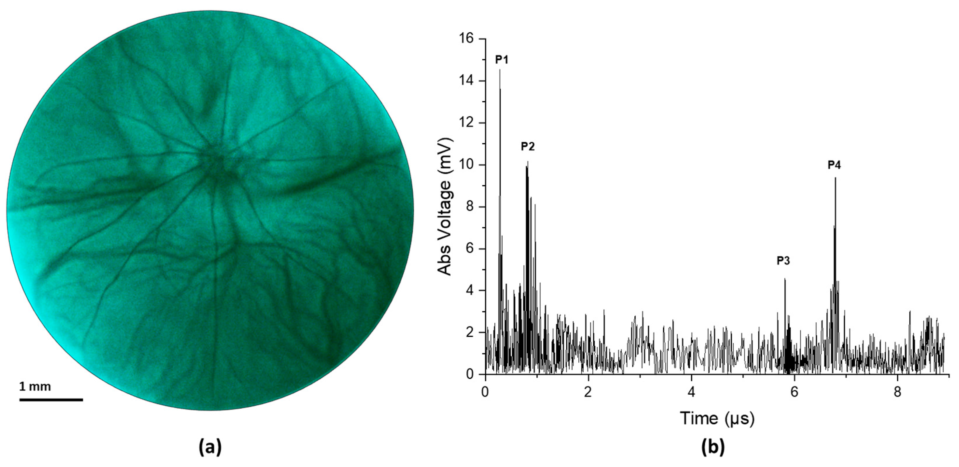 Biosensors 14 00127 g004