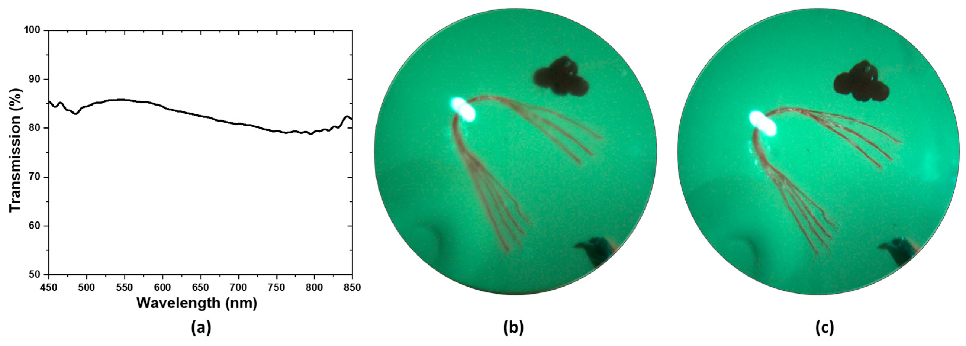 Biosensors 14 00127 g005