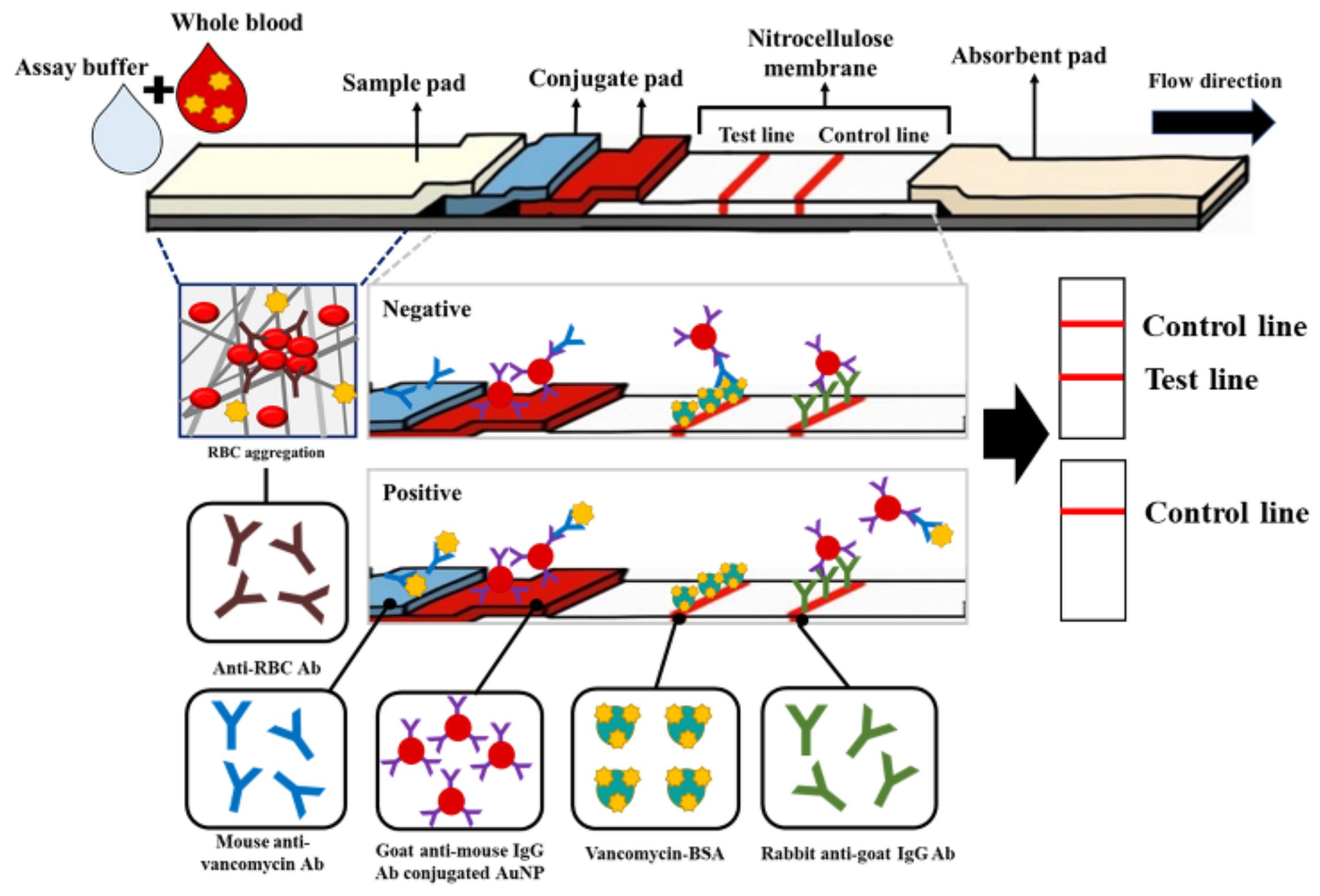 Biosensors 14 00129 g001