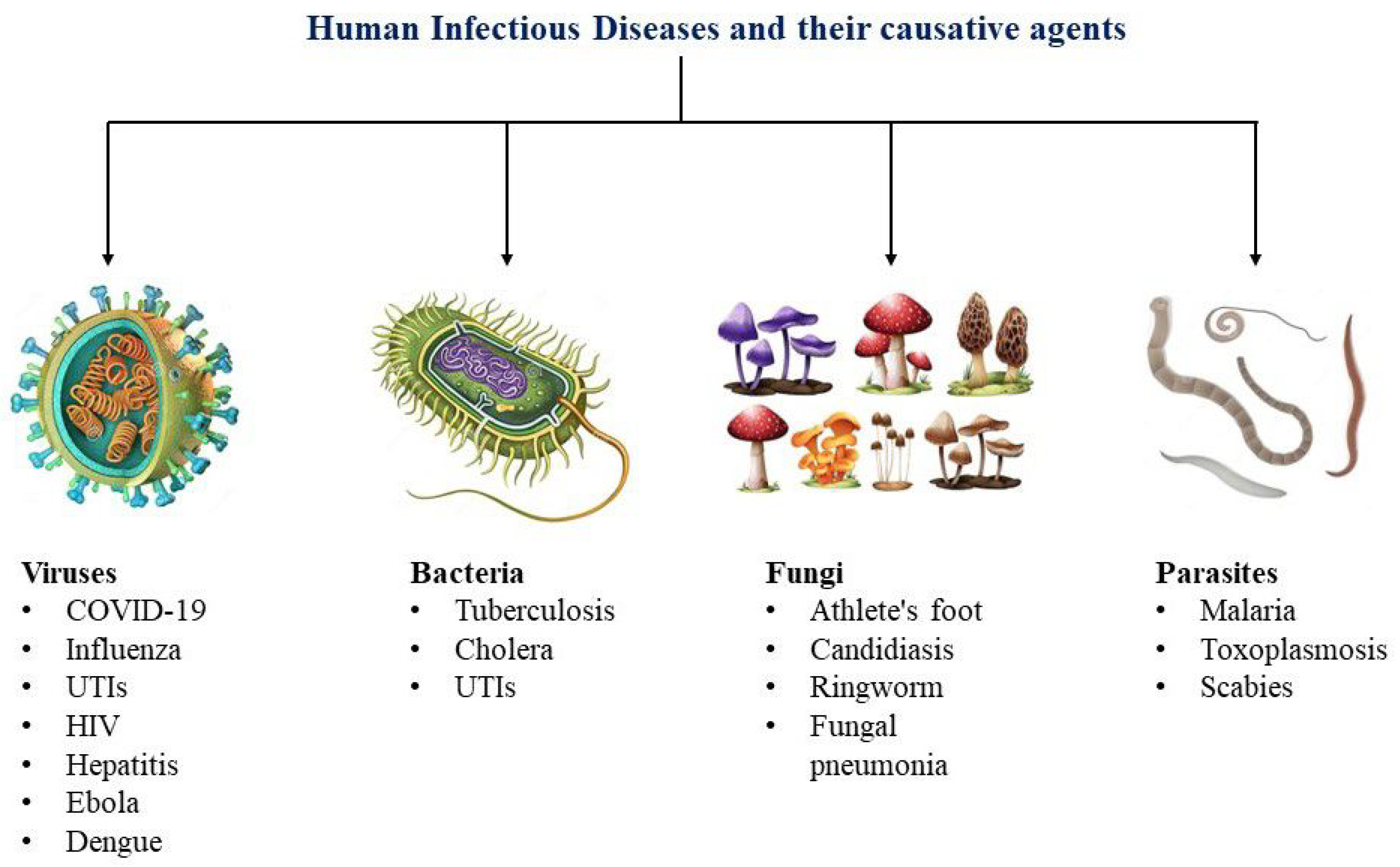 Biosensors 14 00130 g001