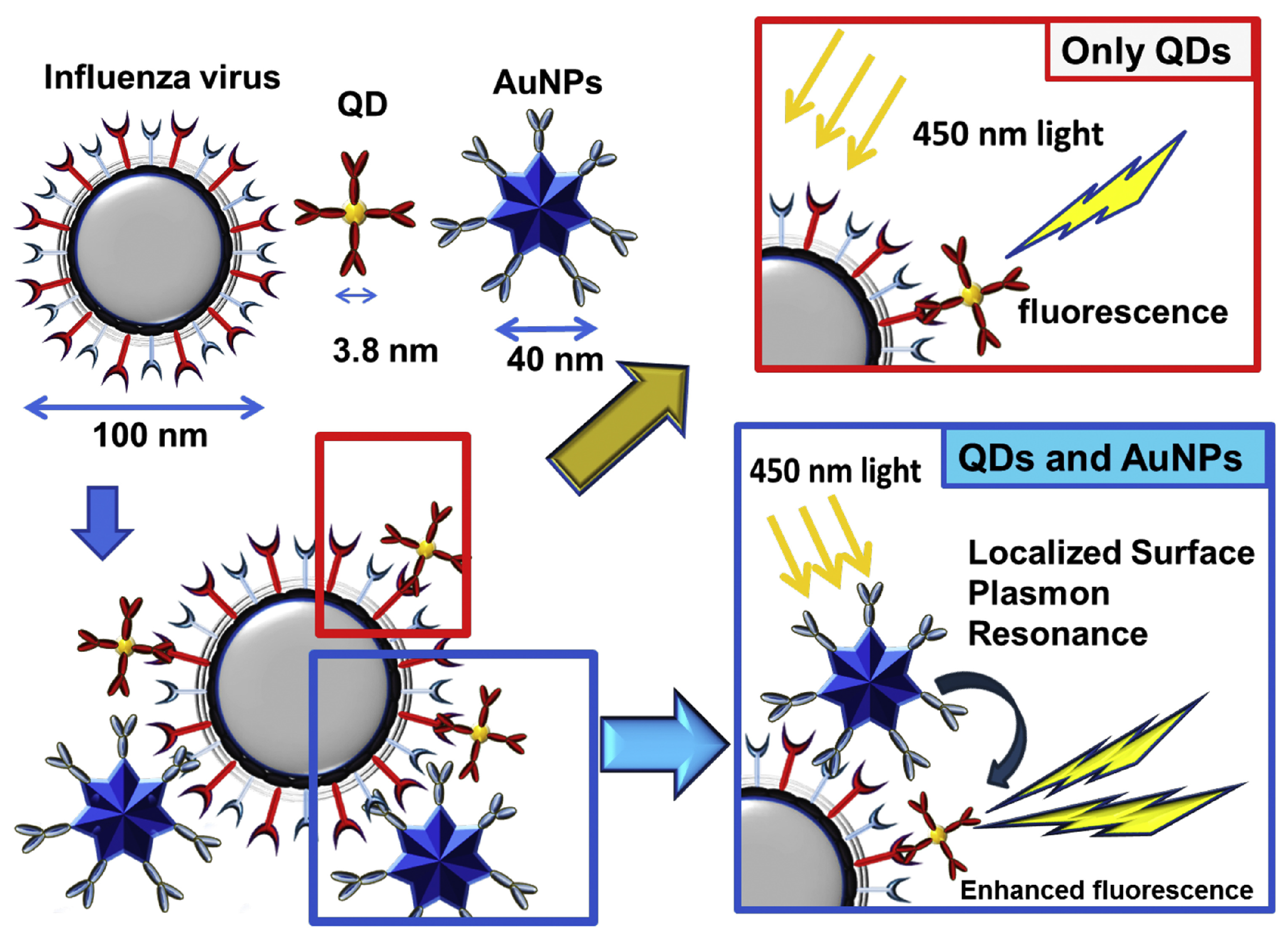 Biosensors 14 00130 g005