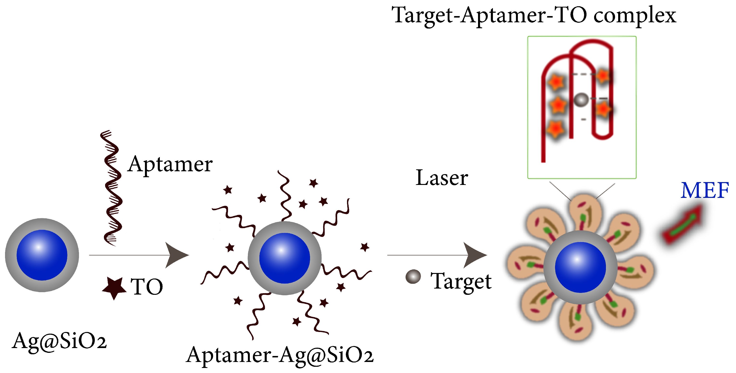 Biosensors 14 00130 g006