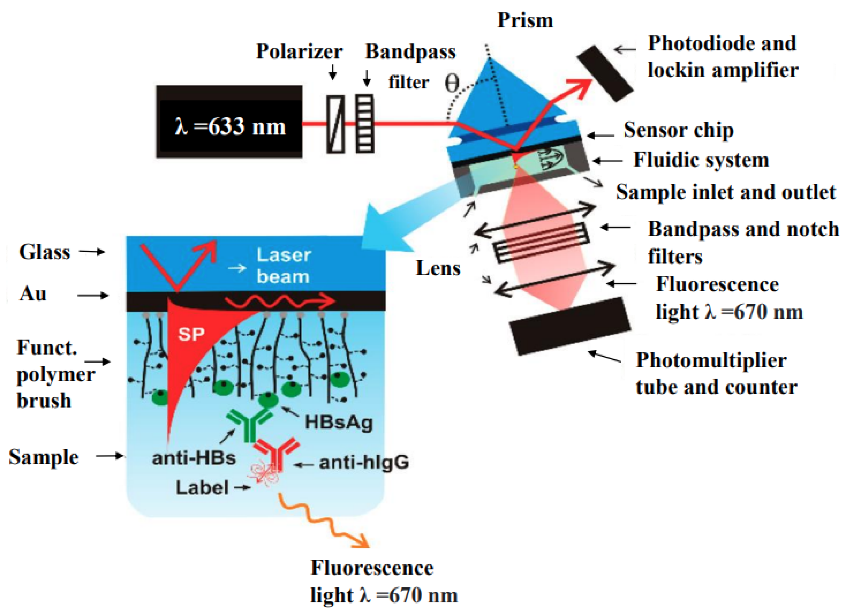 Biosensors 14 00130 g010