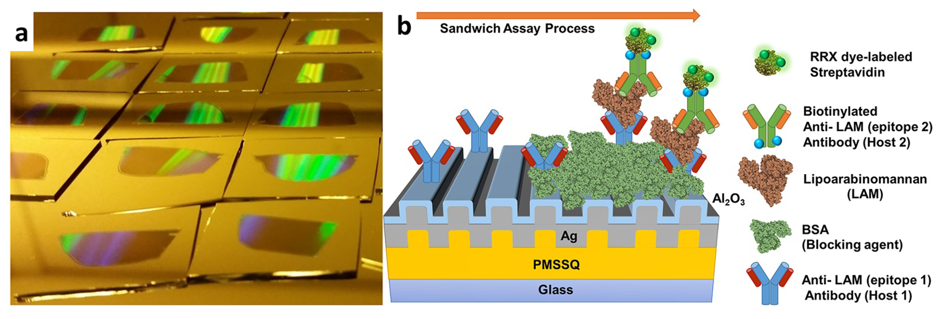 Biosensors 14 00130 g014