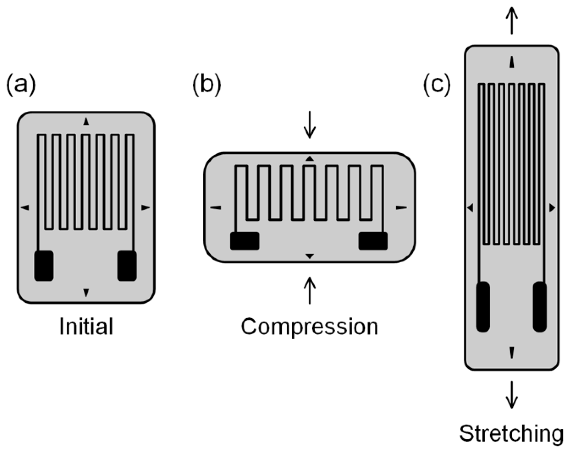 Biosensors 14 00137 g004