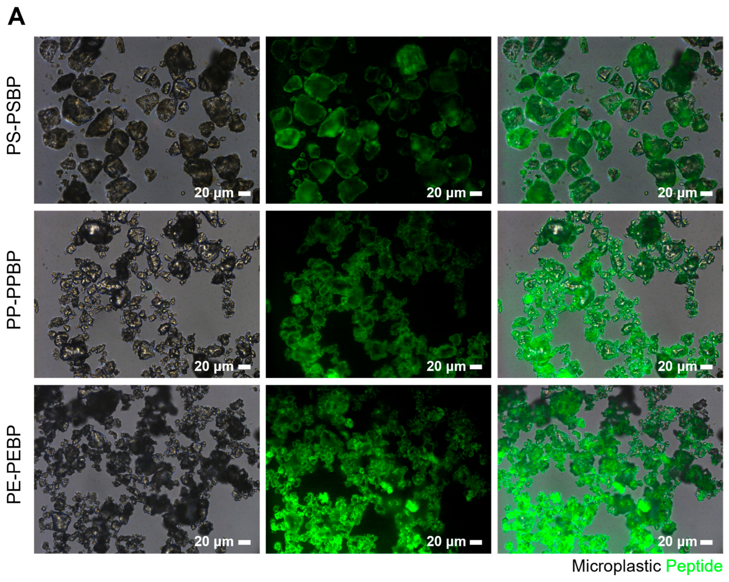 Biosensors 14 00140 g003a