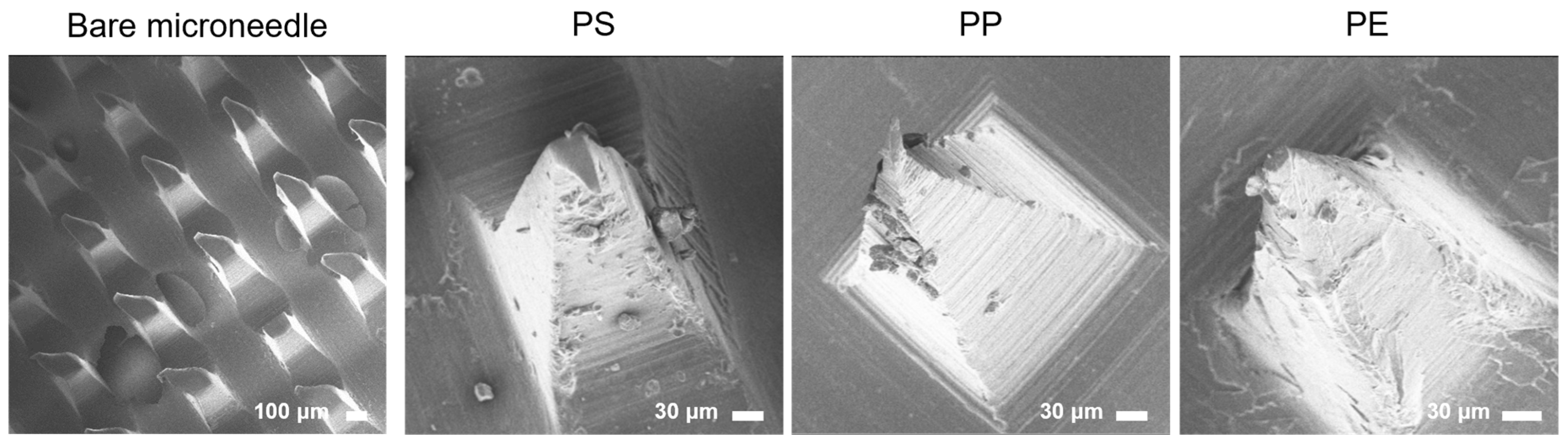 Biosensors 14 00140 g004
