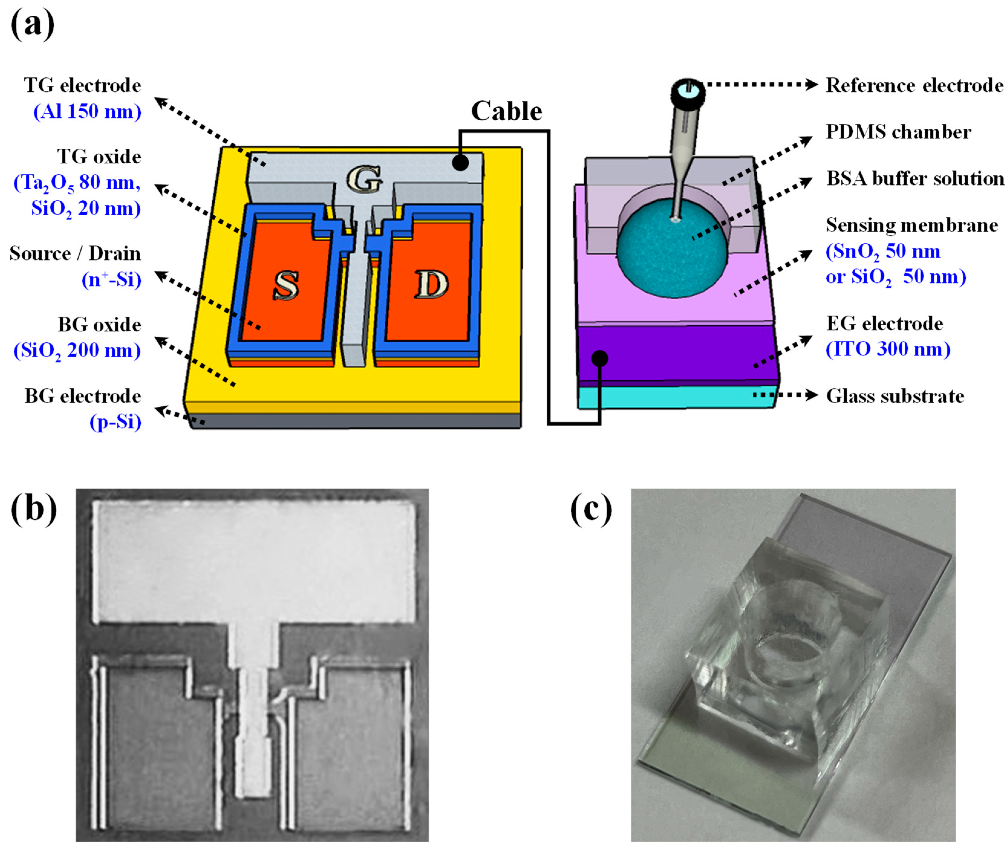 Biosensors 14 00141 g001 Biosensors 14 00141 g001