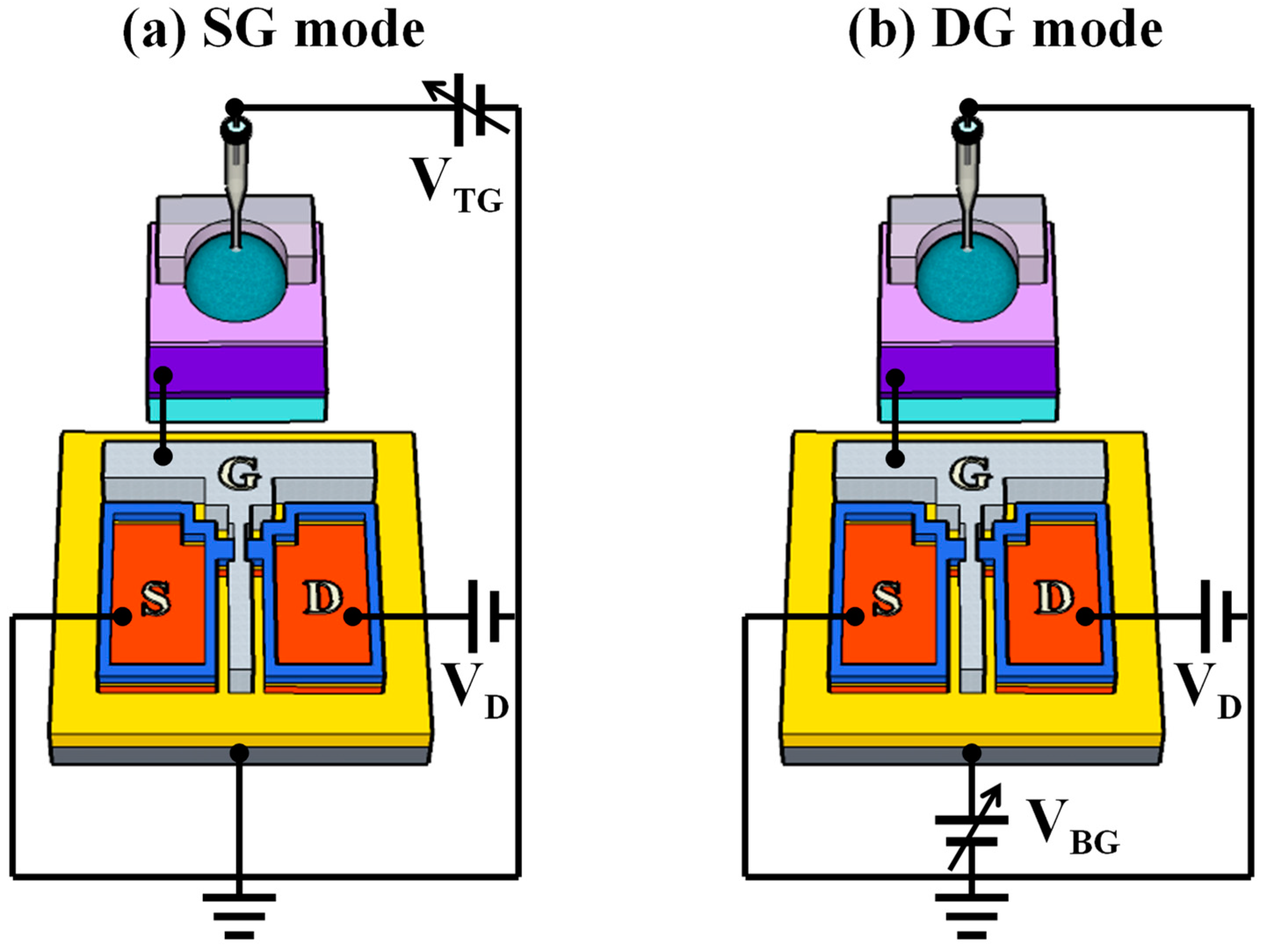 Biosensors 14 00141 g002 Biosensors 14 00141 g002
