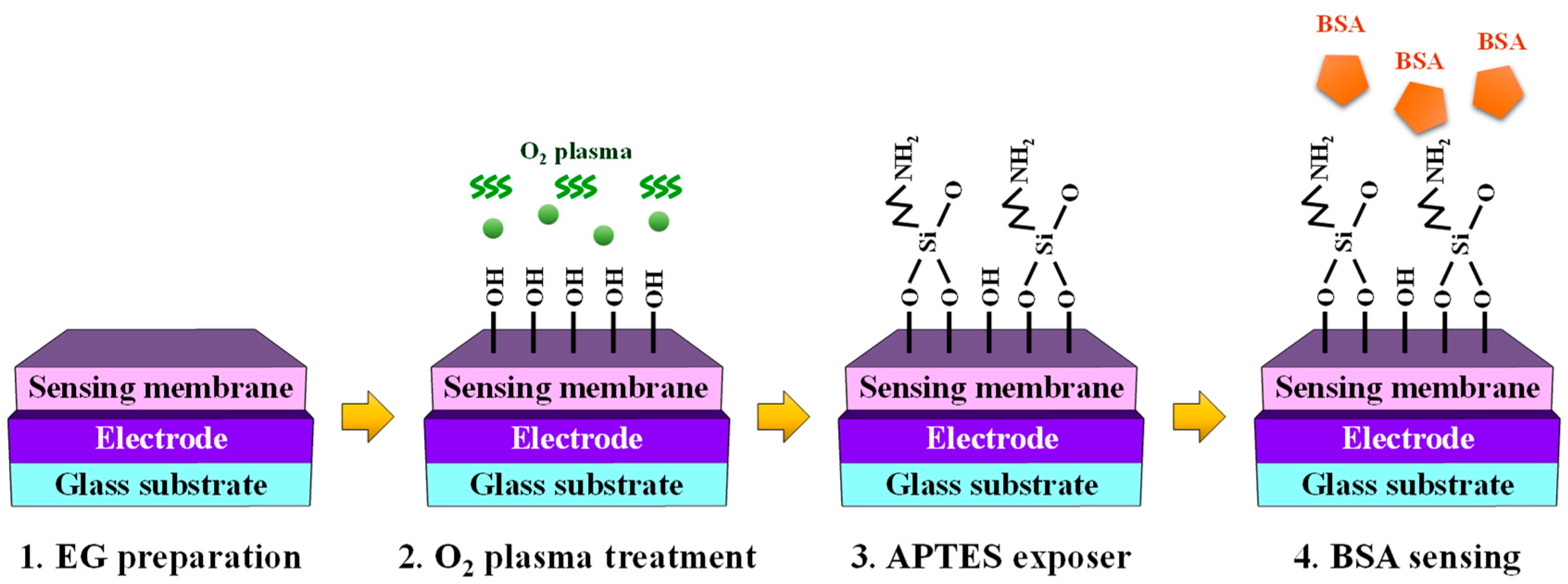 Biosensors 14 00141 g003 Biosensors 14 00141 g003