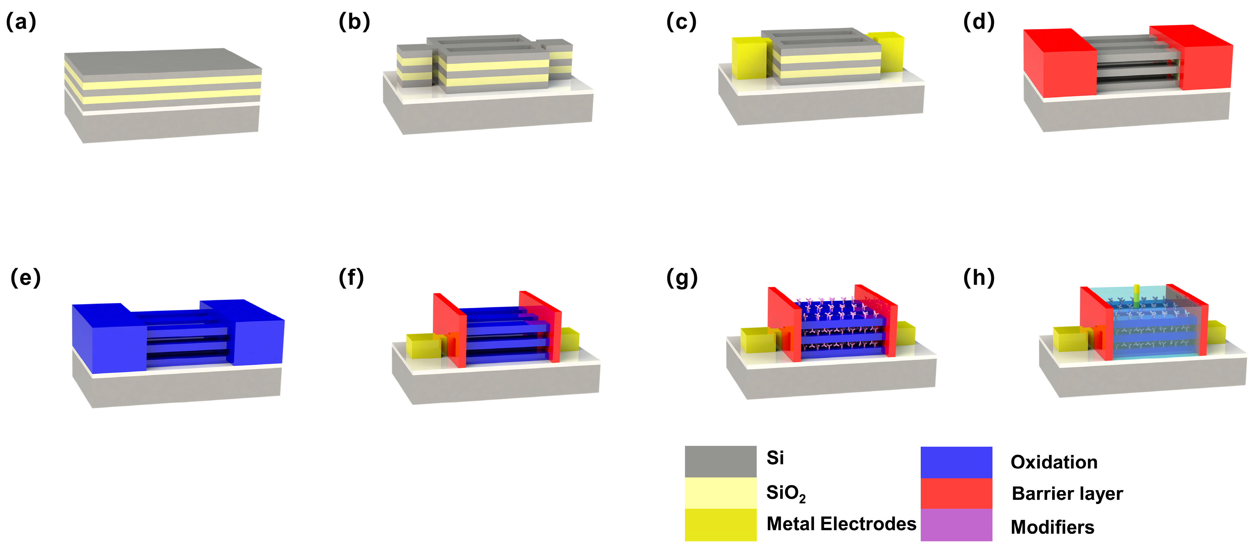 Biosensors 14 00144 g002