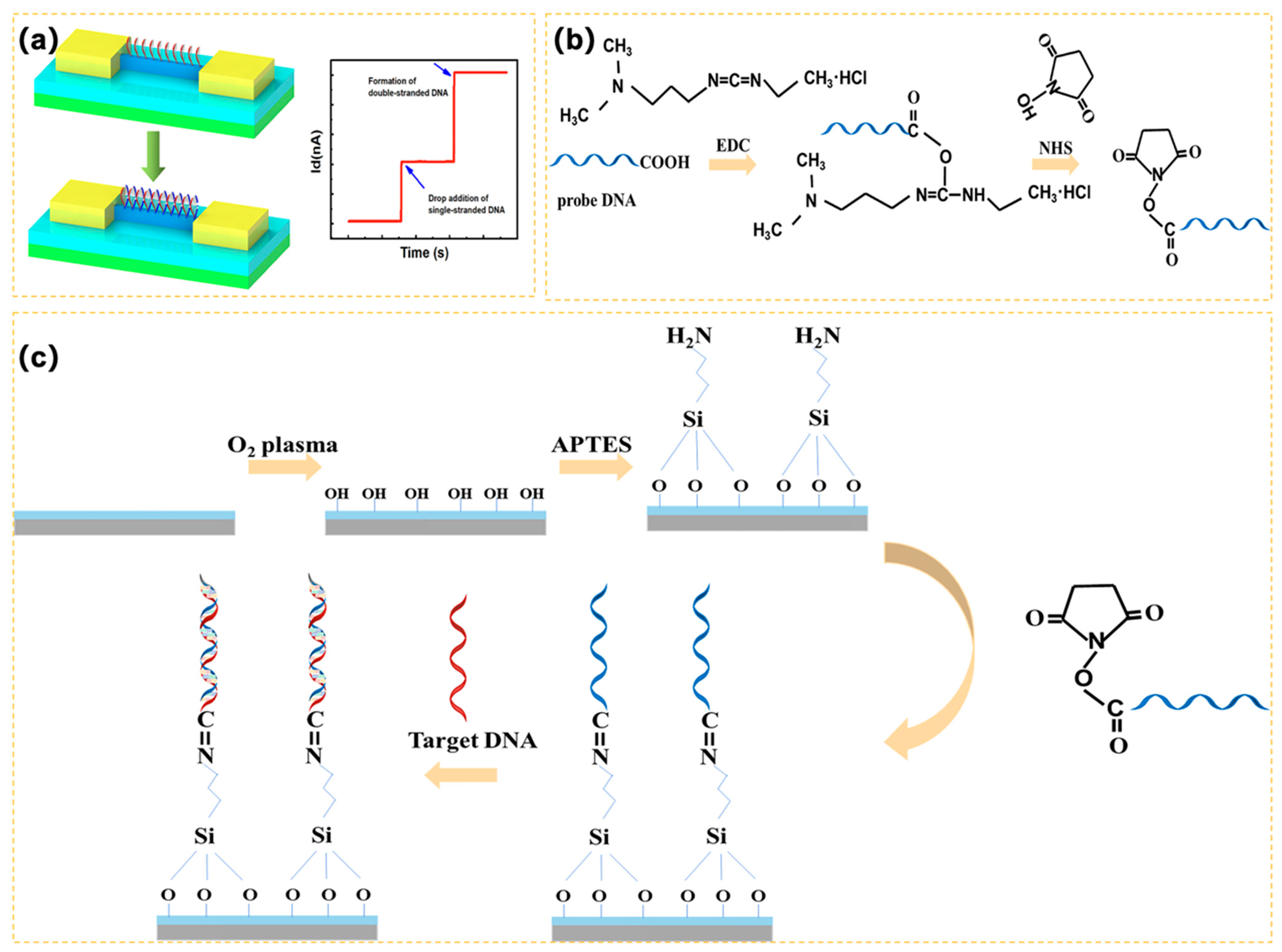 Biosensors 14 00144 g003
