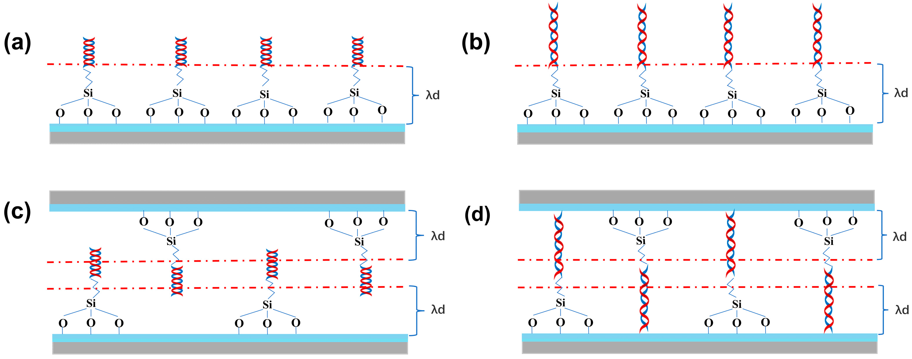 Biosensors 14 00144 g009