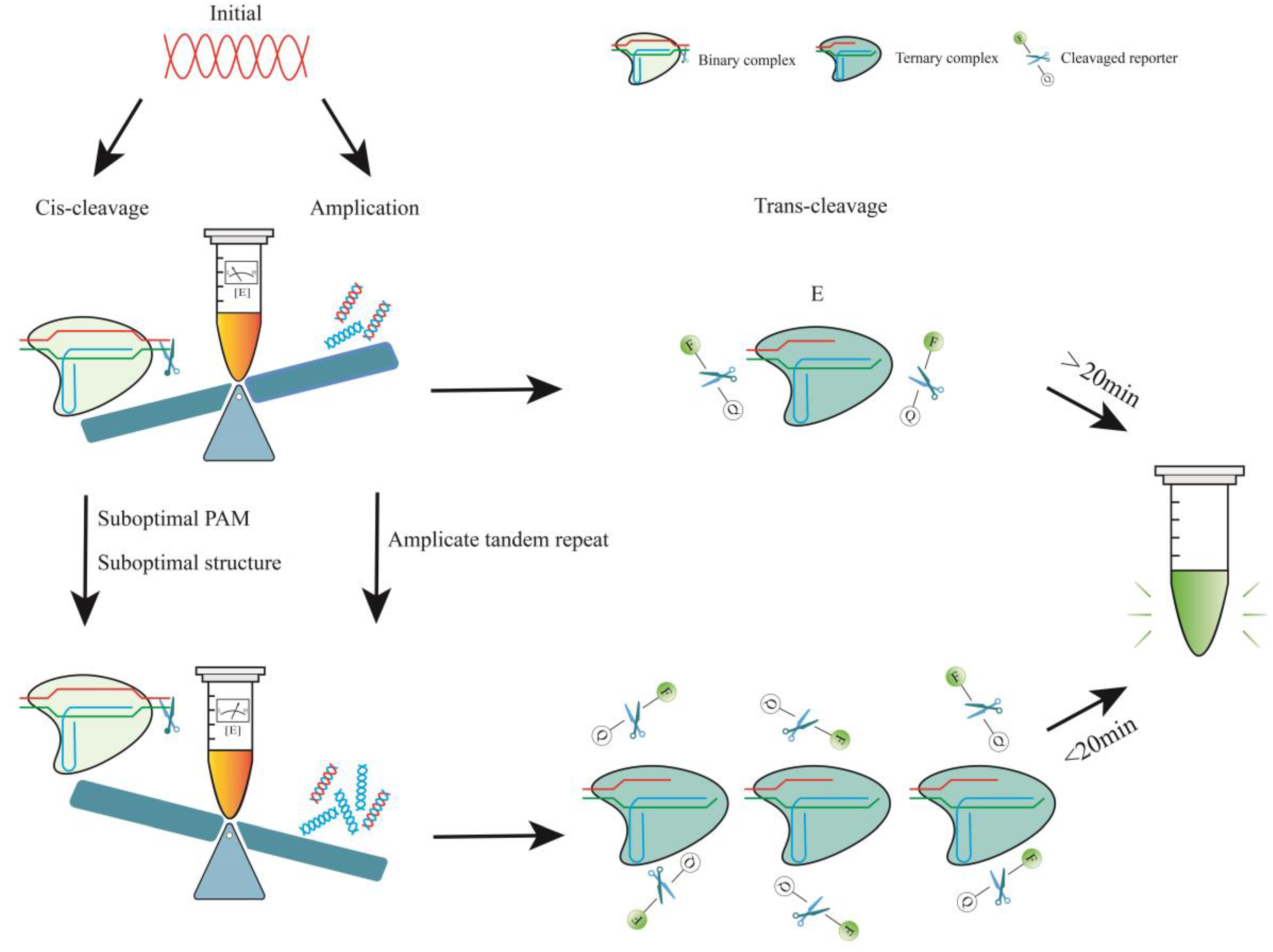 Biosensors 14 00145 g002 Biosensors 14 00145 g002