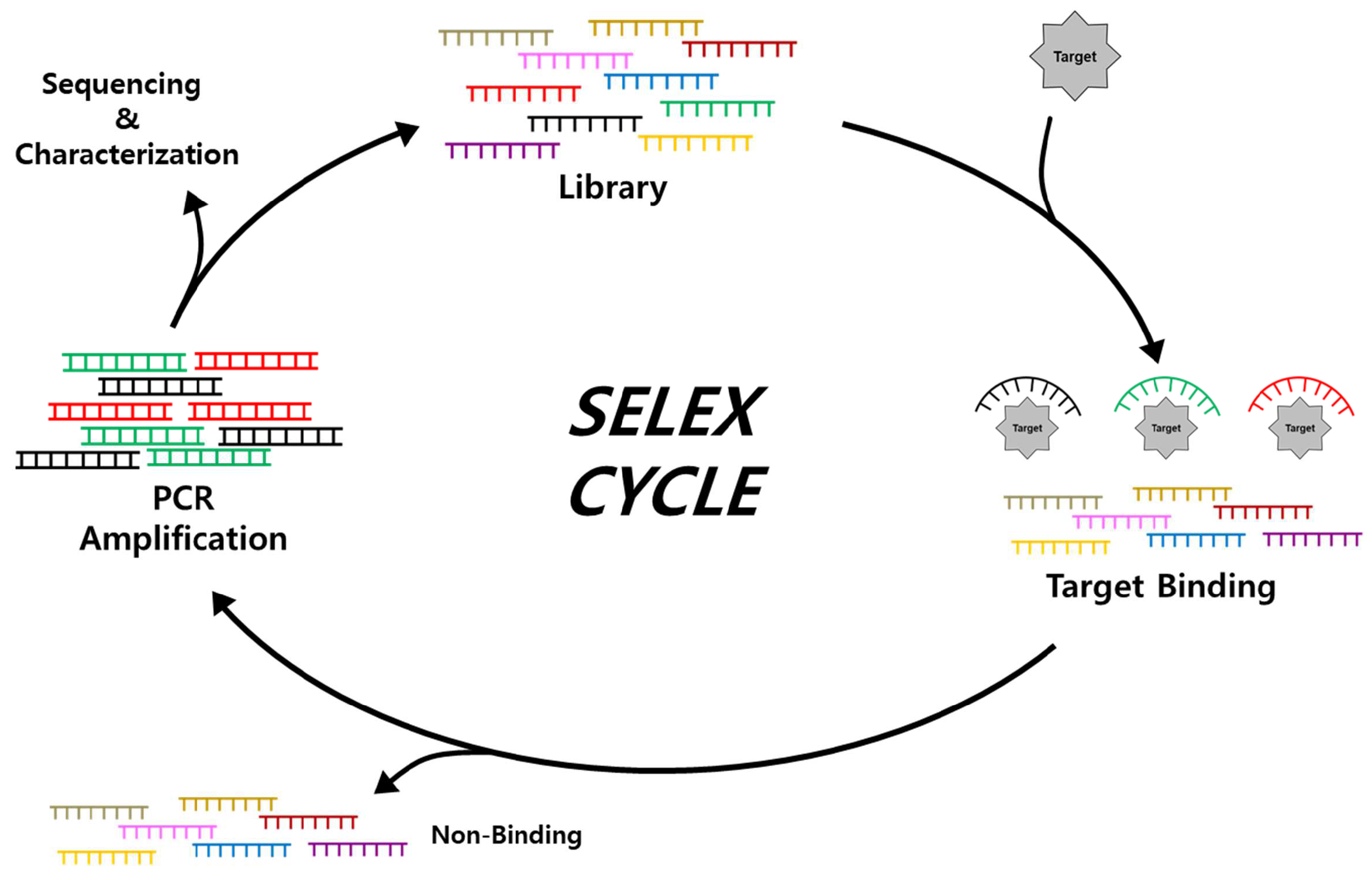 Biosensors 14 00146 g002