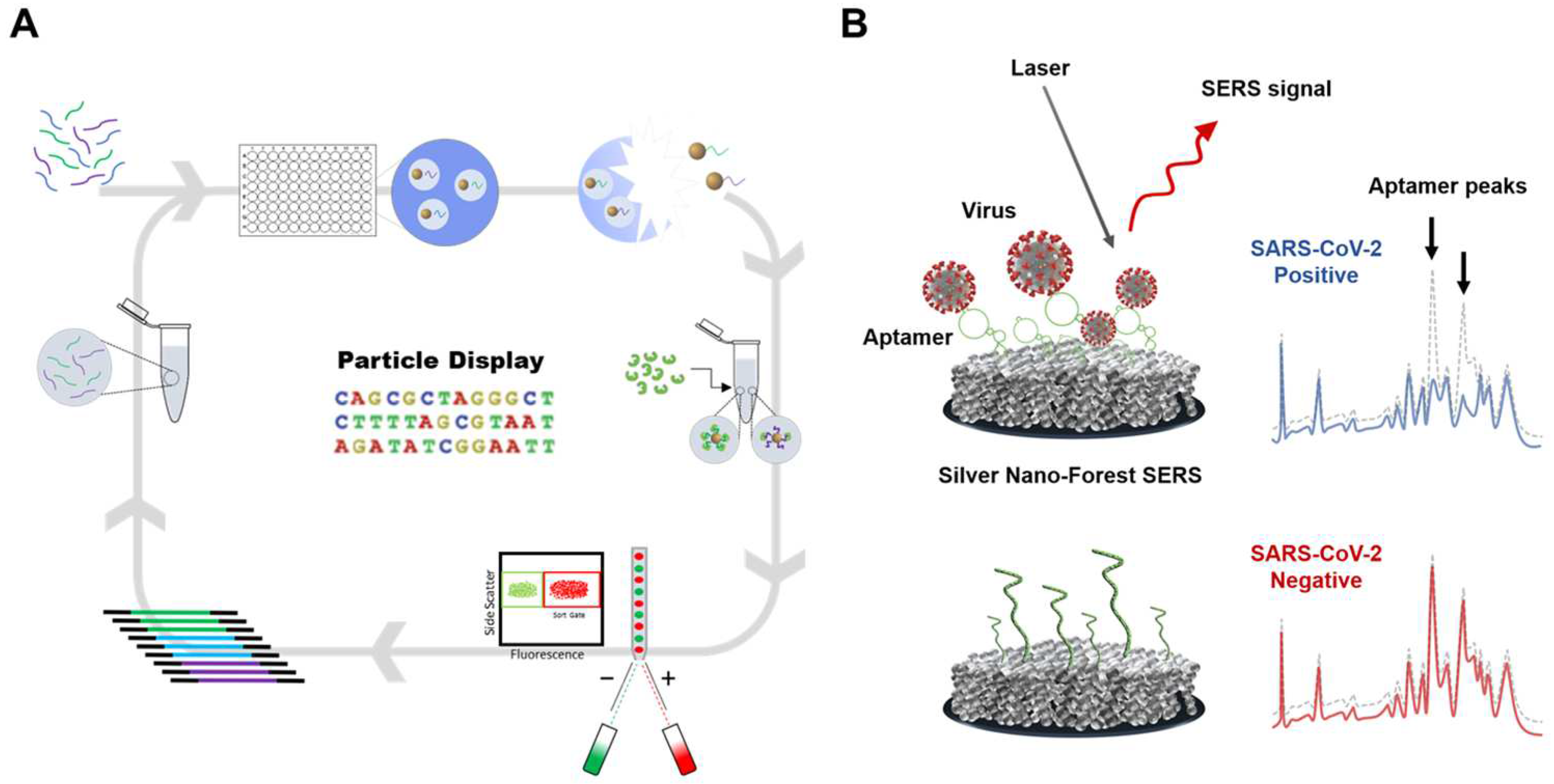 Biosensors 14 00146 g005