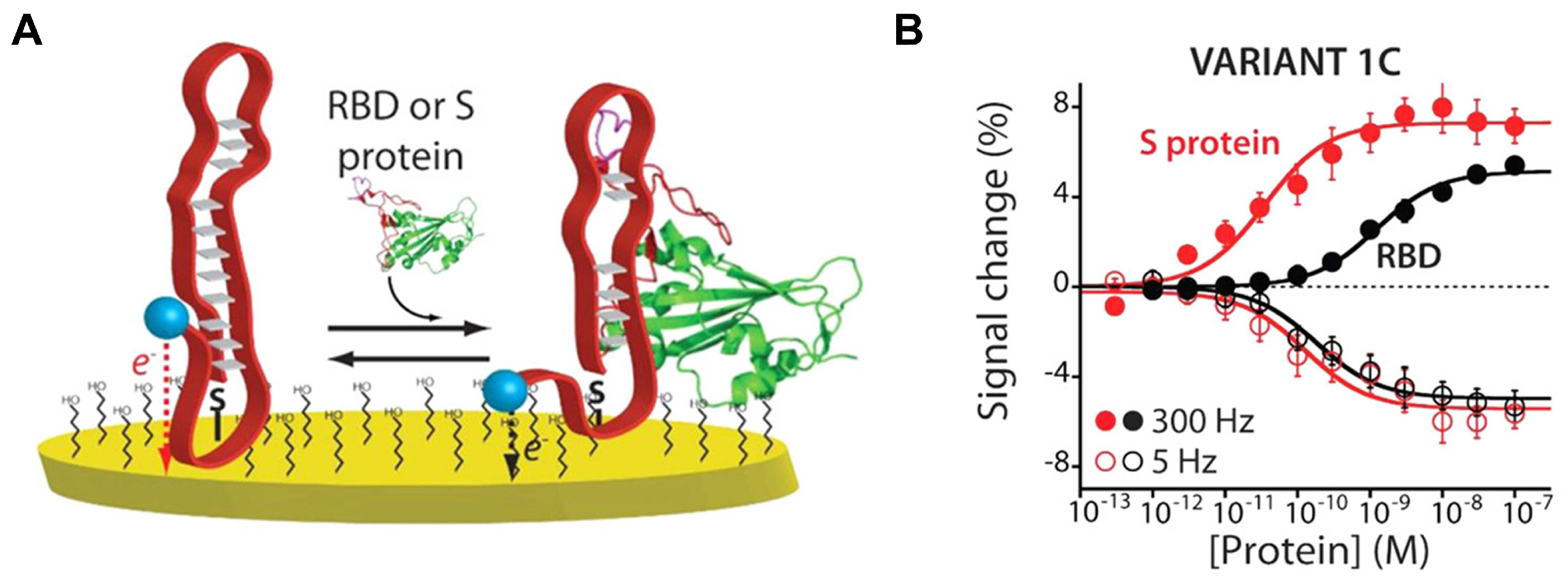 Biosensors 14 00146 g006
