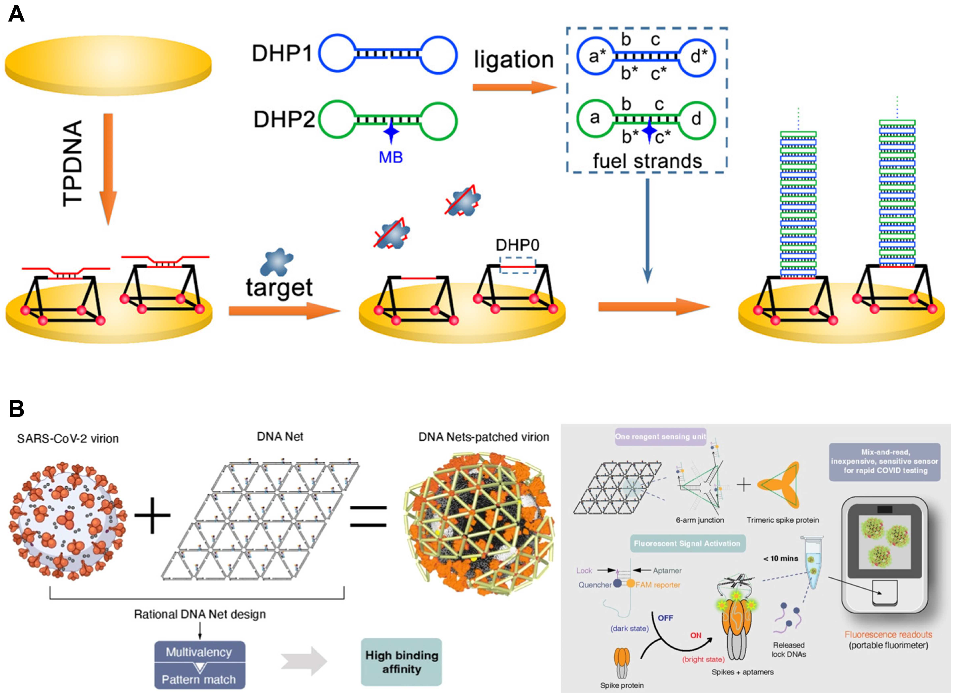Biosensors 14 00146 g008