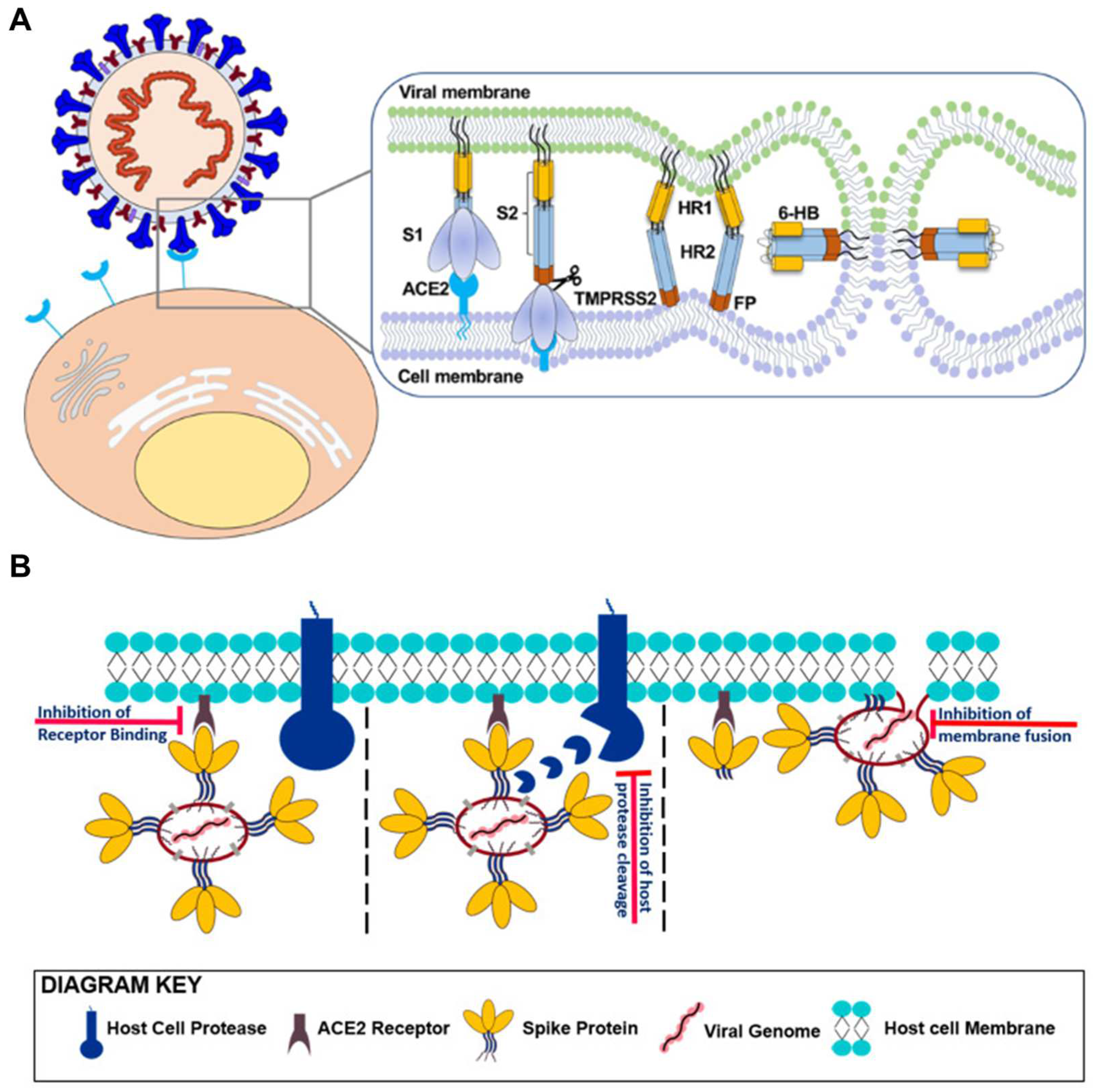 Biosensors 14 00146 g009