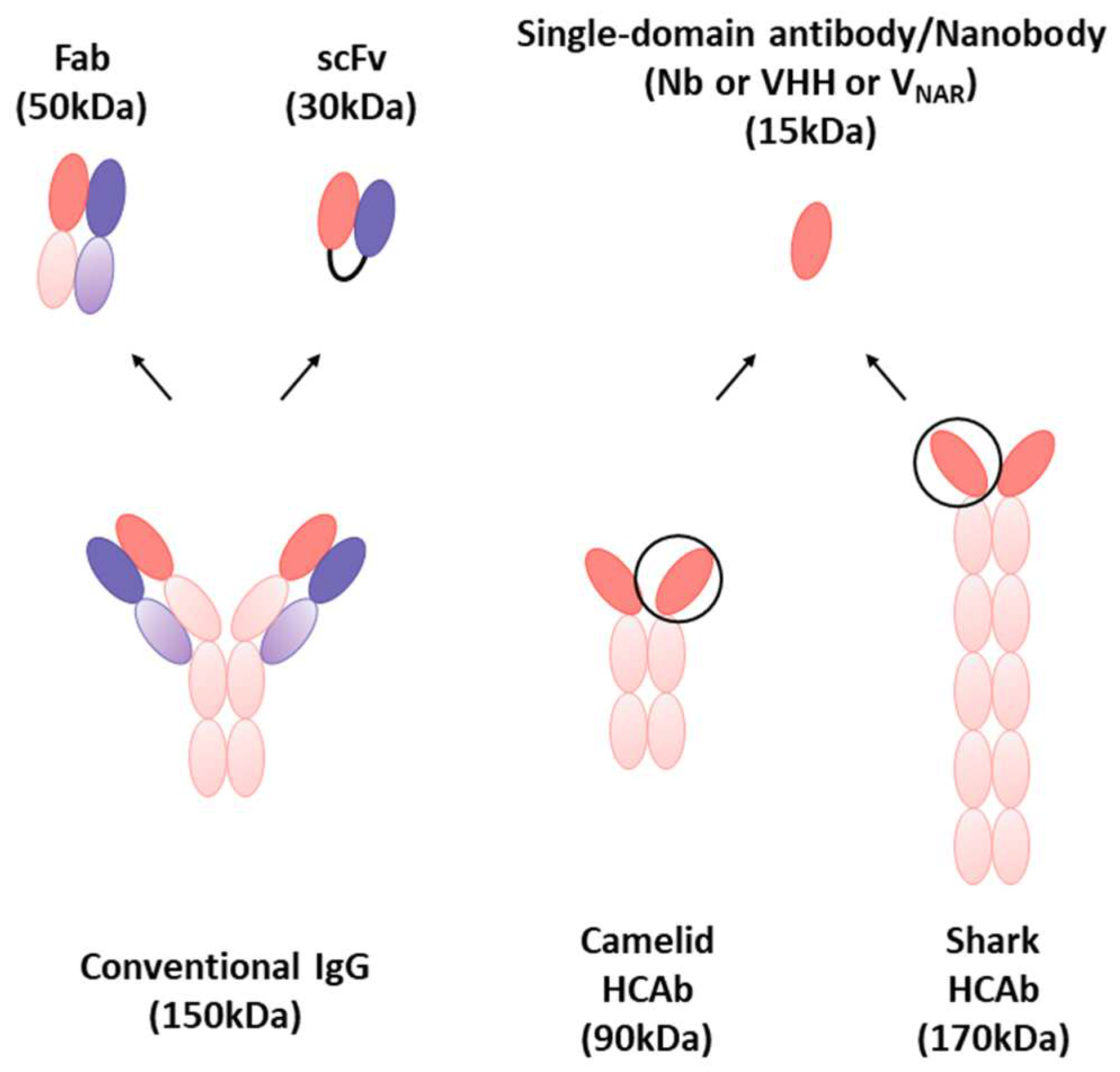 Biosensors 14 00146 g010