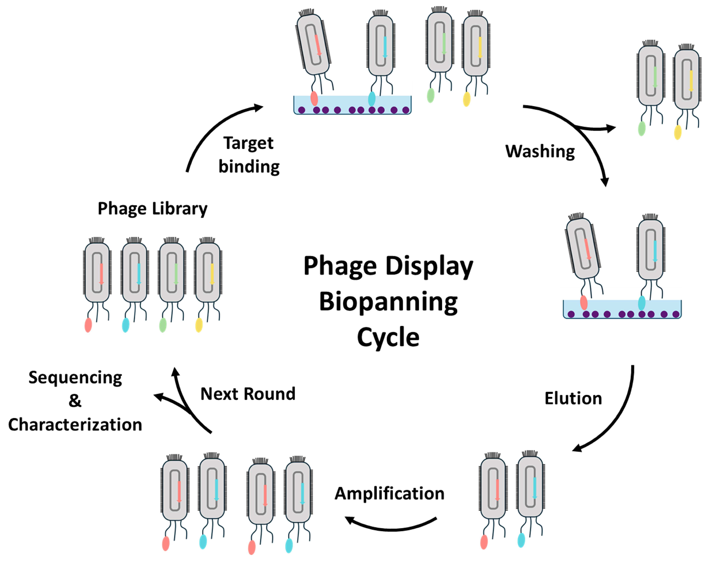 Biosensors 14 00146 g011