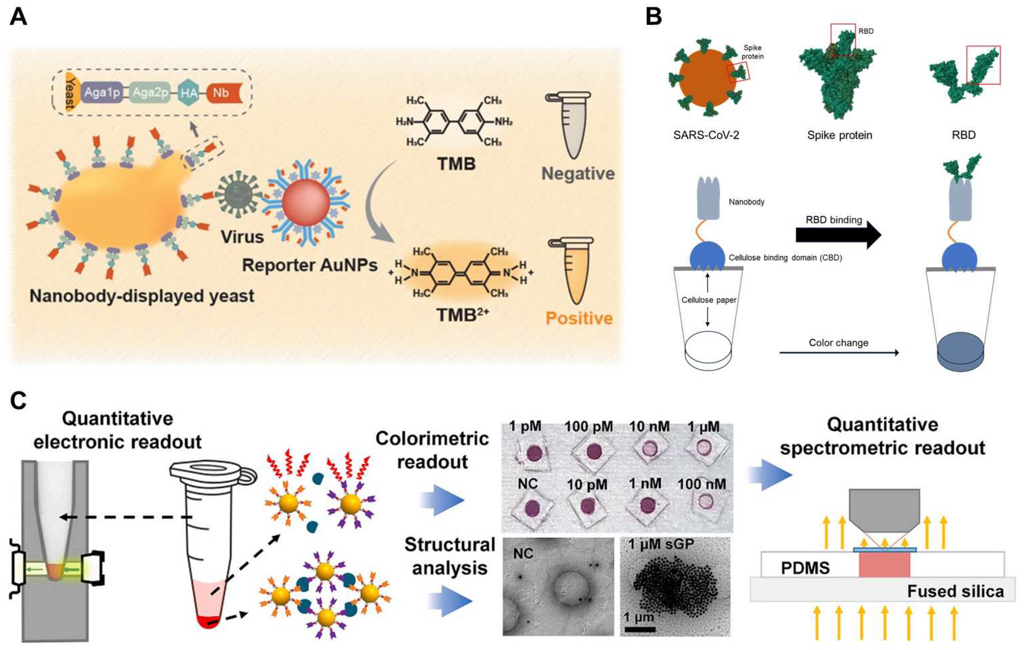 Biosensors 14 00146 g012