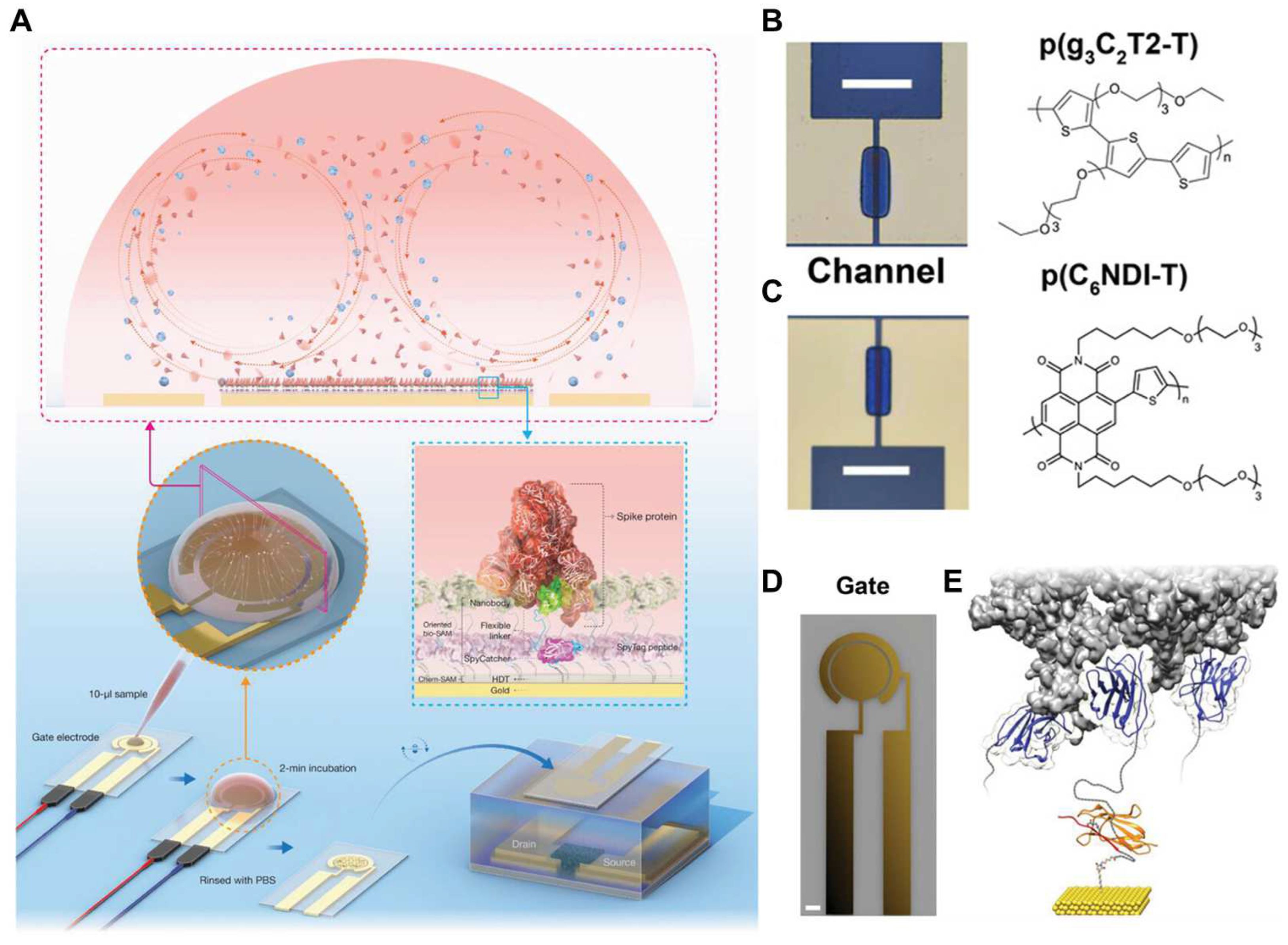 Biosensors 14 00146 g013