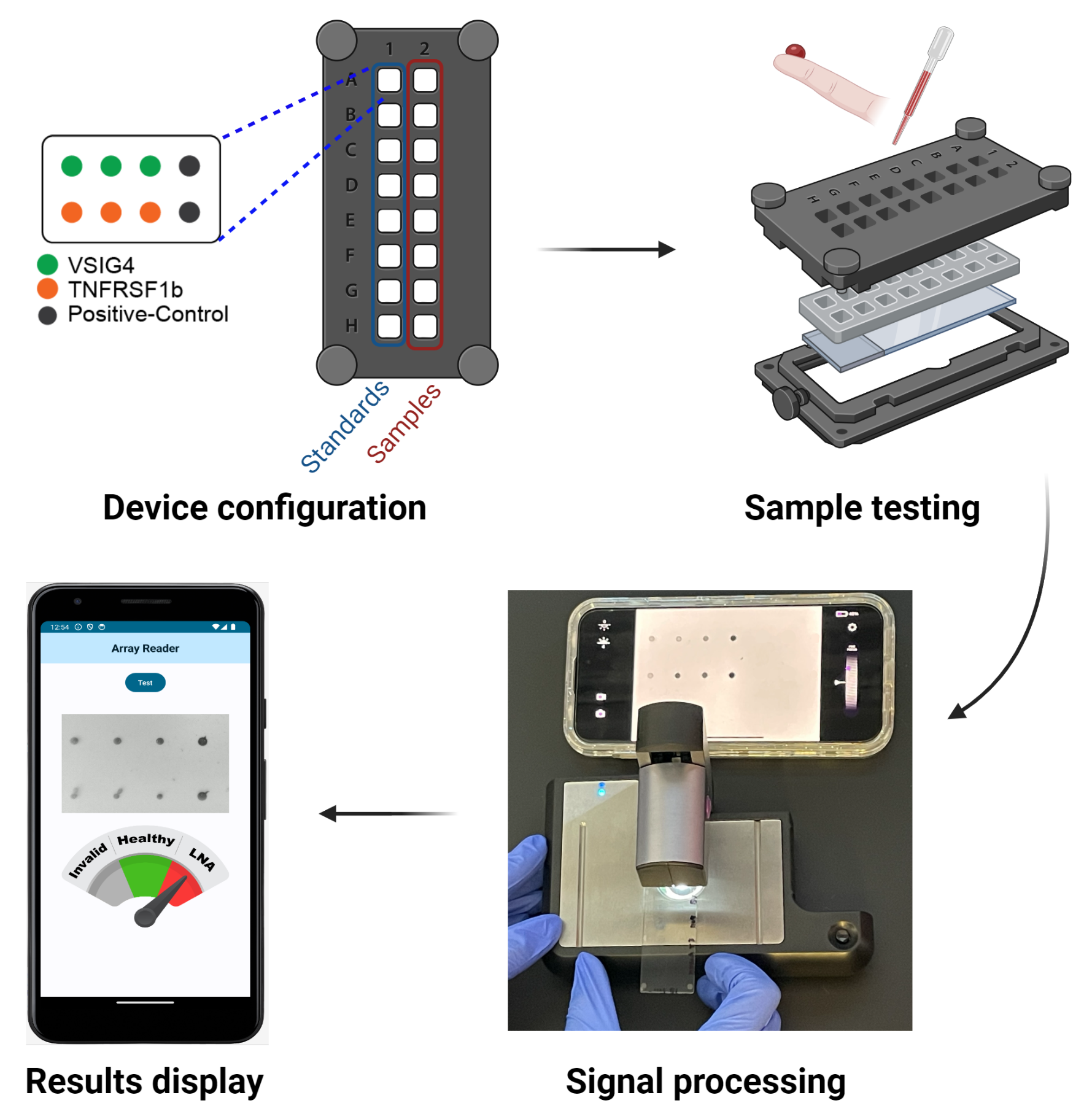 Biosensors 14 00147 g001