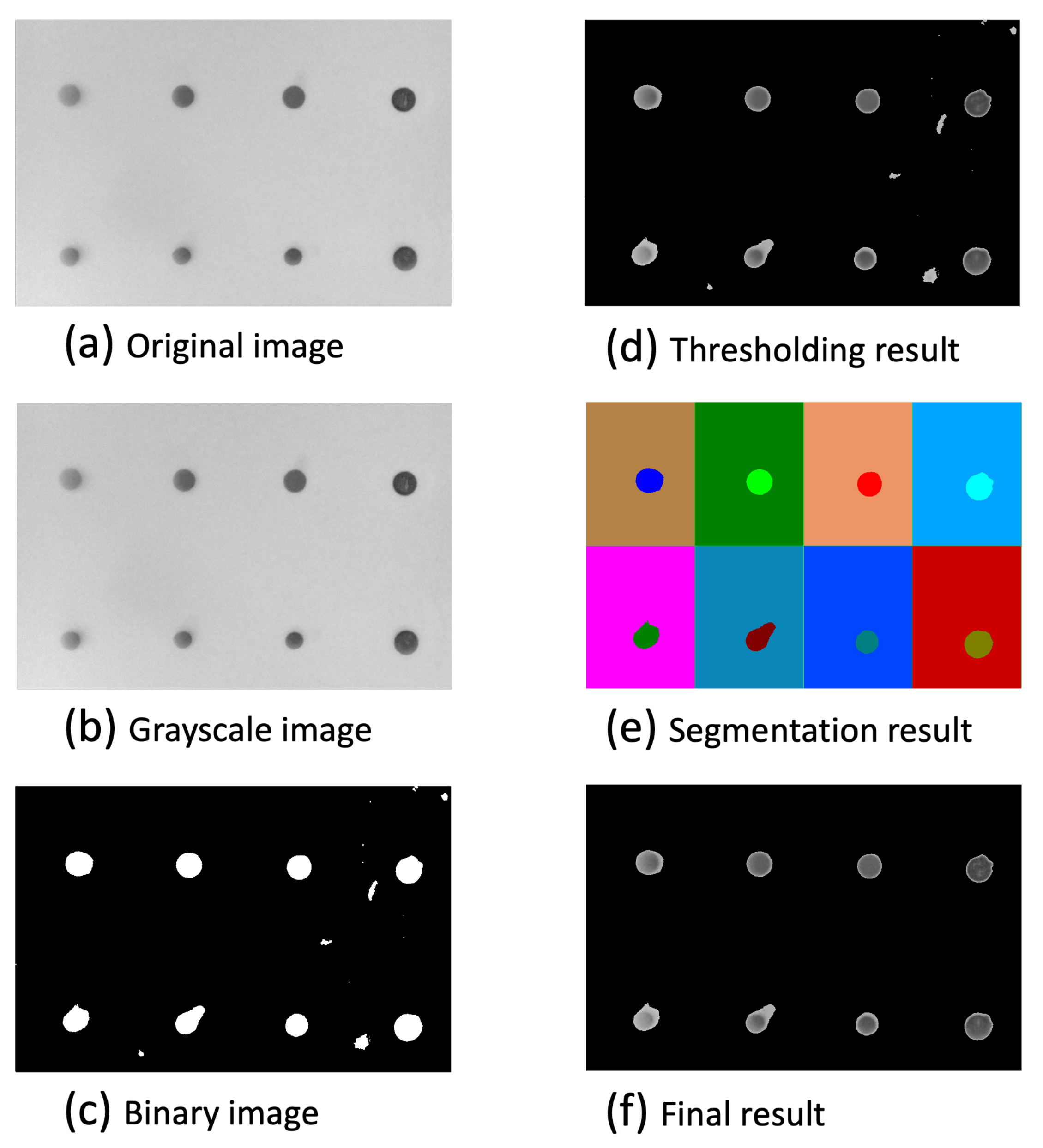 Biosensors 14 00147 g002