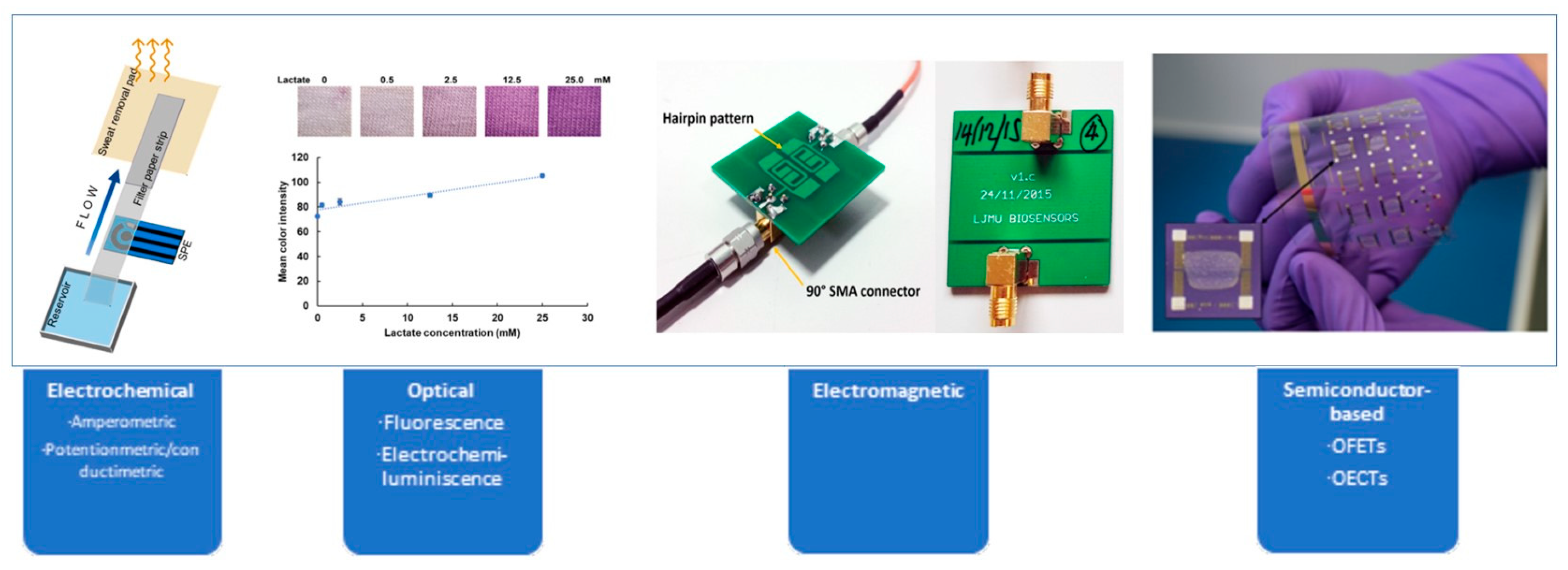 Biosensors 14 00148 g002